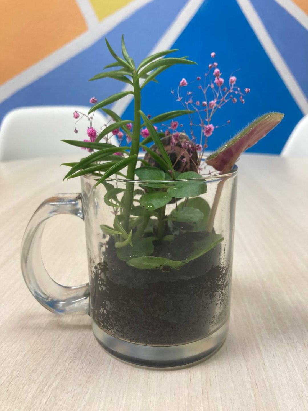 Клин, Волонтеры