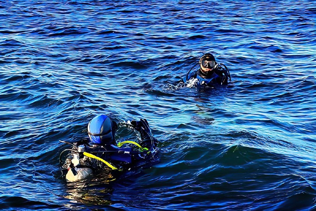 Балашиха, Одинцово, Московская область, Добротворецъ, Карэн Агамалян, Лиза Алерт, Павловский Посад