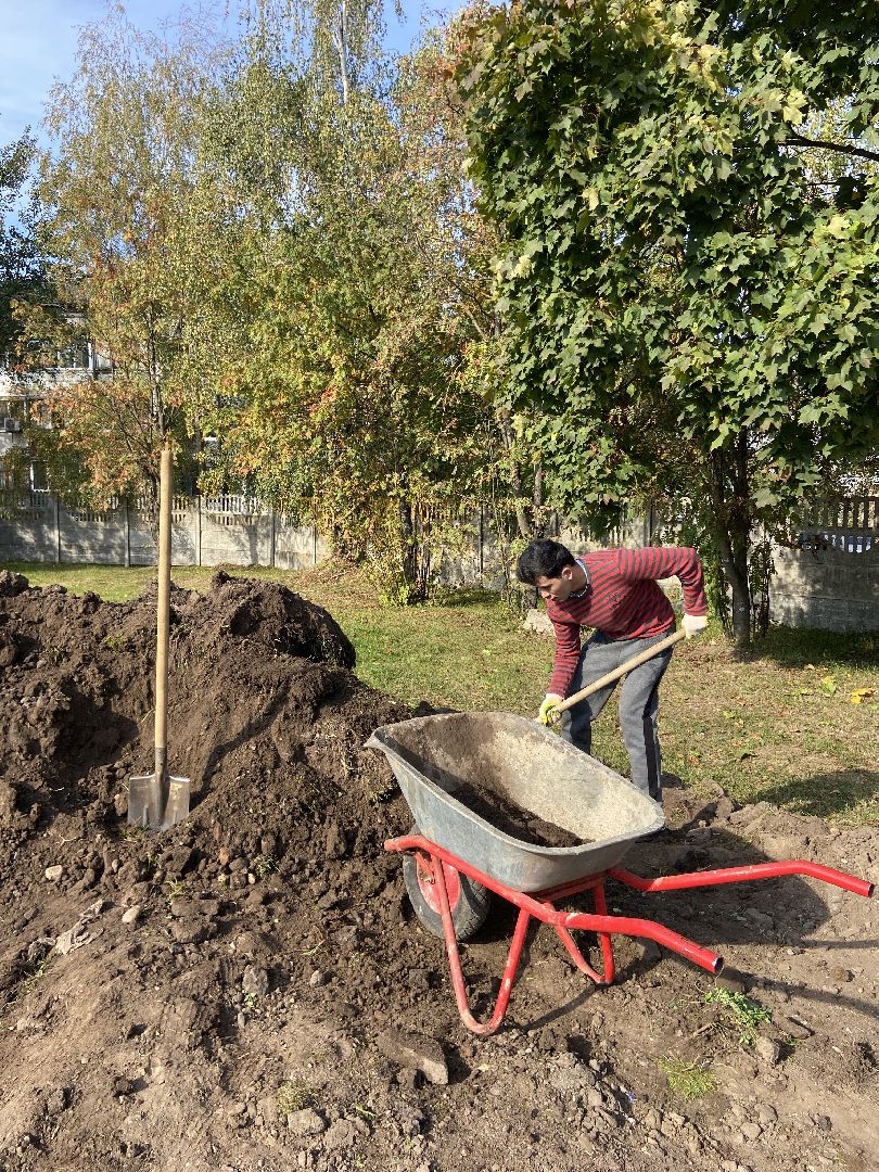 спортивная площадка, школа, обращение жителей,