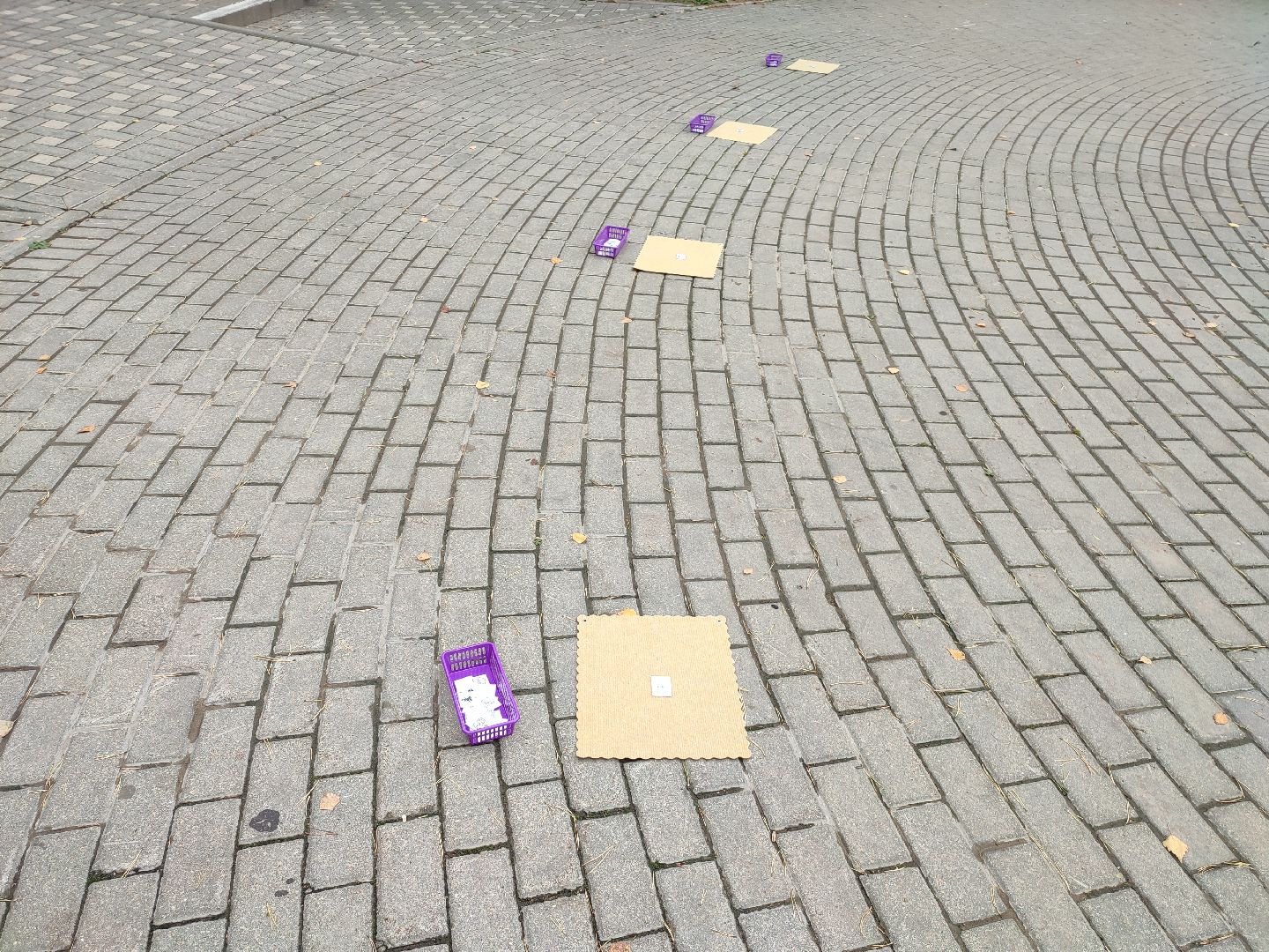 Турслет, Талдом, Лагерь, Дети, Ромашка,