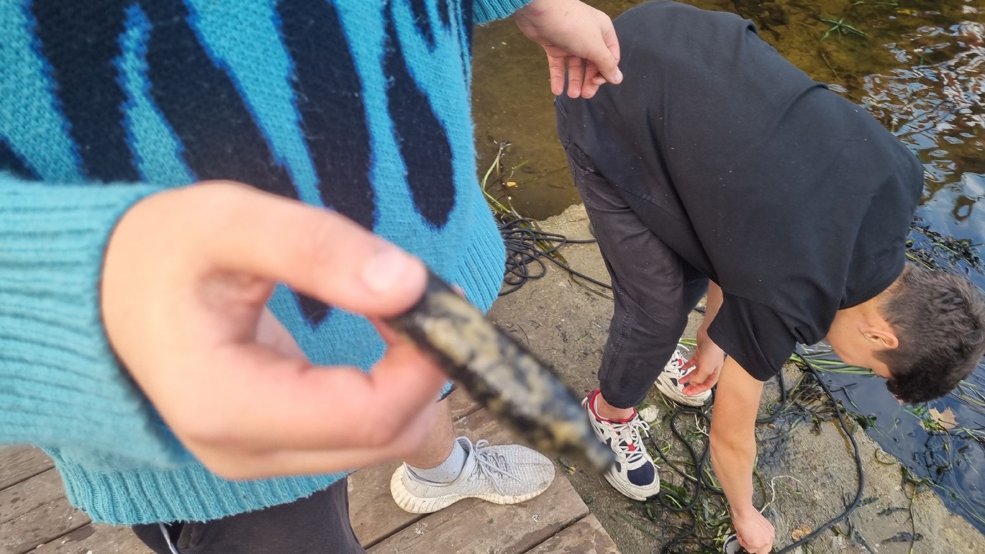 Подмосковье, городской округ пушкинский, Ивантеевка, парки подмосковья, дети, выходные в подмосковье,