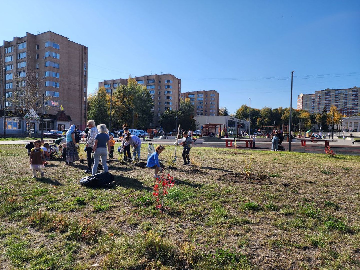 красноармейск, г.о. пушкинский, посади свое дерево, экологическая акция,
