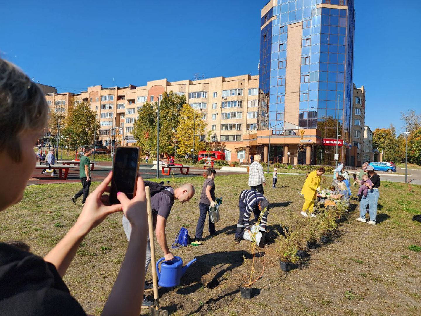 красноармейск, г.о. пушкинский, посади свое дерево, экологическая акция,