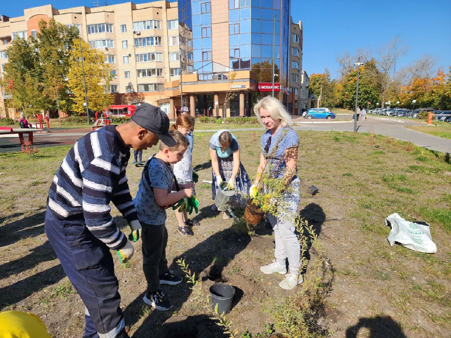 красноармейск, г.о. пушкинский, посади свое дерево, экологическая акция,