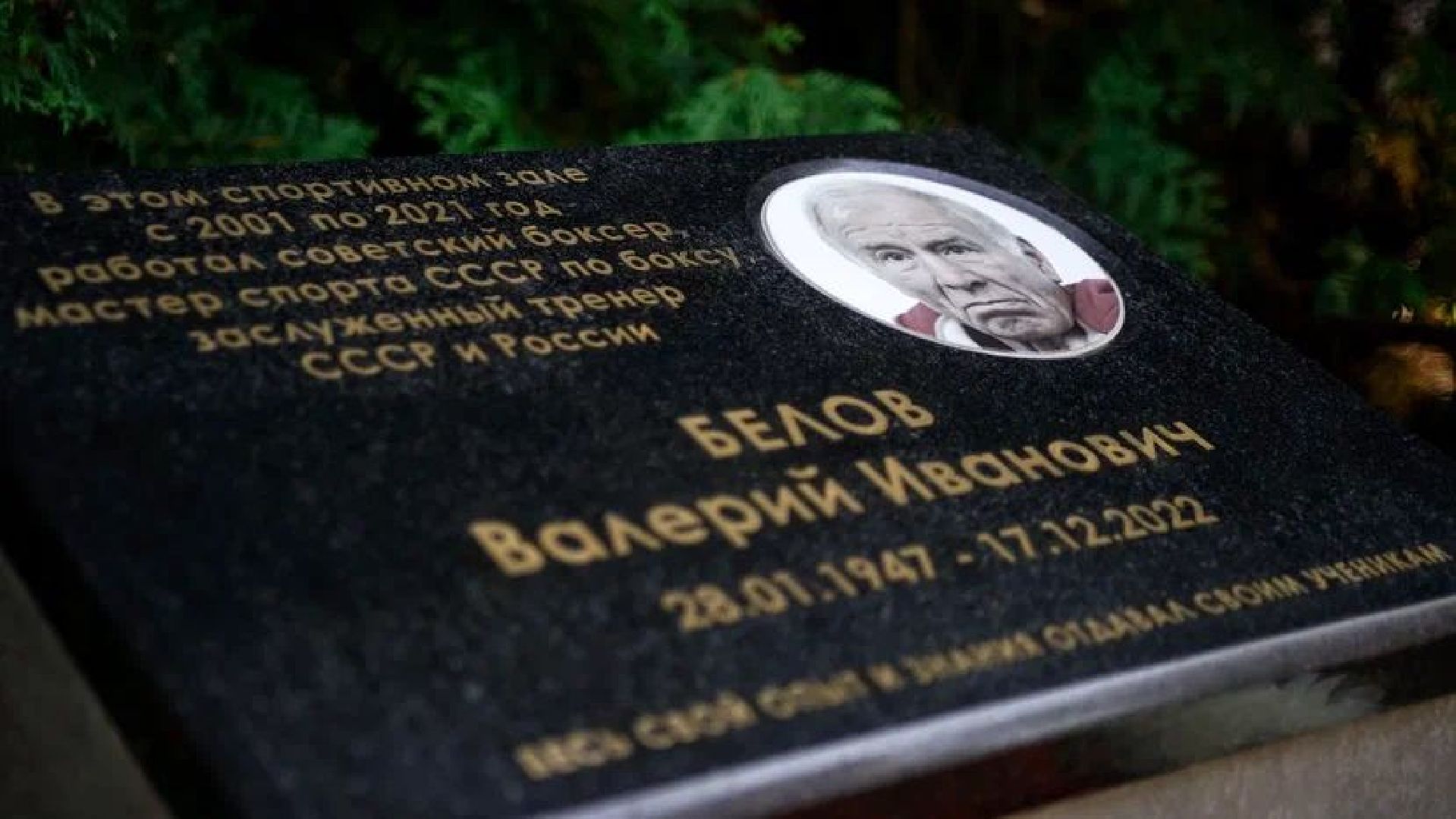 спорт подмосковья, Бокс, Город чехов, Поветкин, Спорт, спортивная школа,