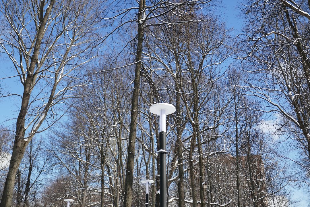 Подольск, благоустройство, парк, реконструкция