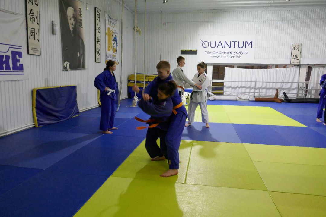 Подольск, спорт, чемпионы, победа, дзюдо