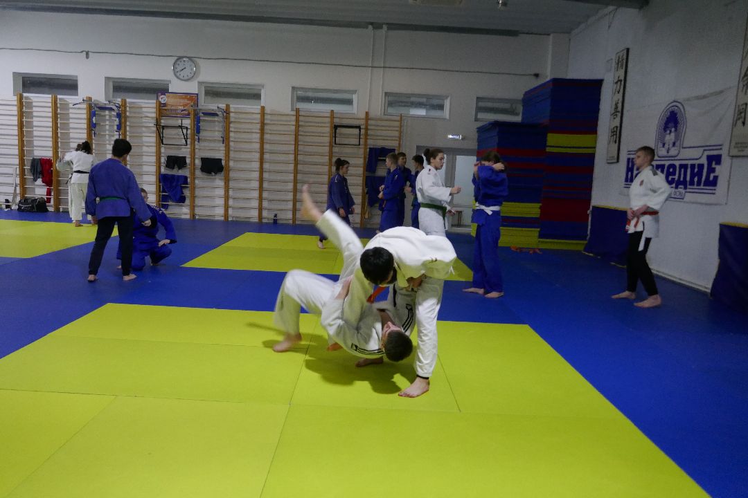 Подольск, спорт, чемпионы, победа, дзюдо