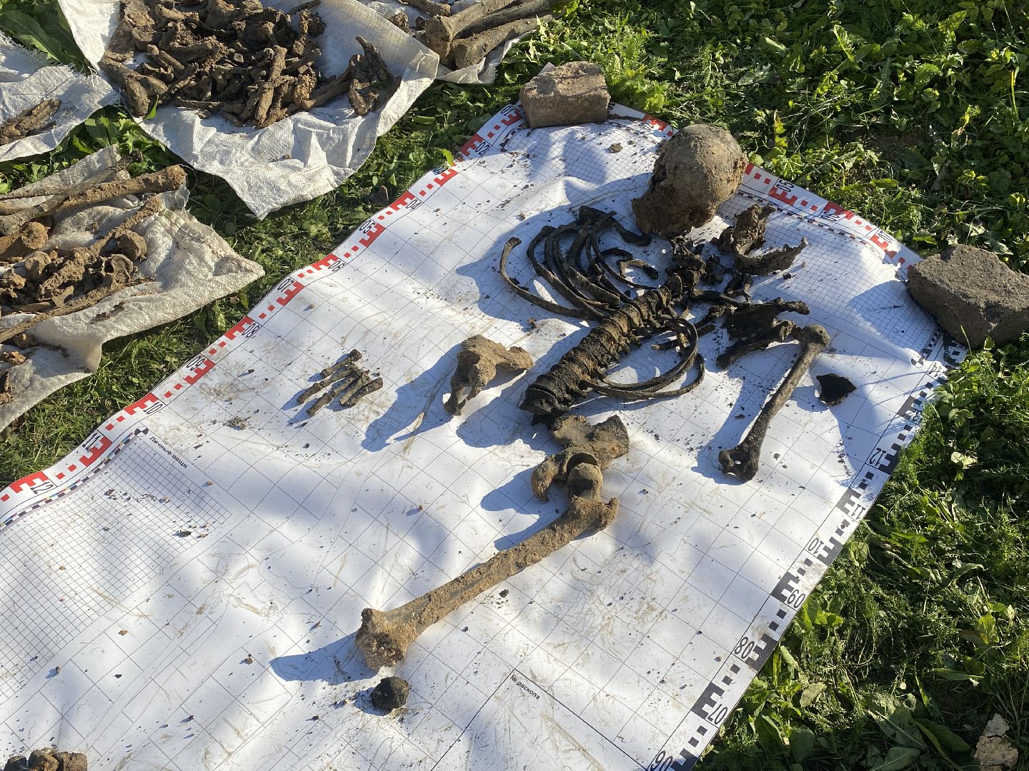 волоколамск, воины, патриотизм, патриотическое воспитание, дети, вов,