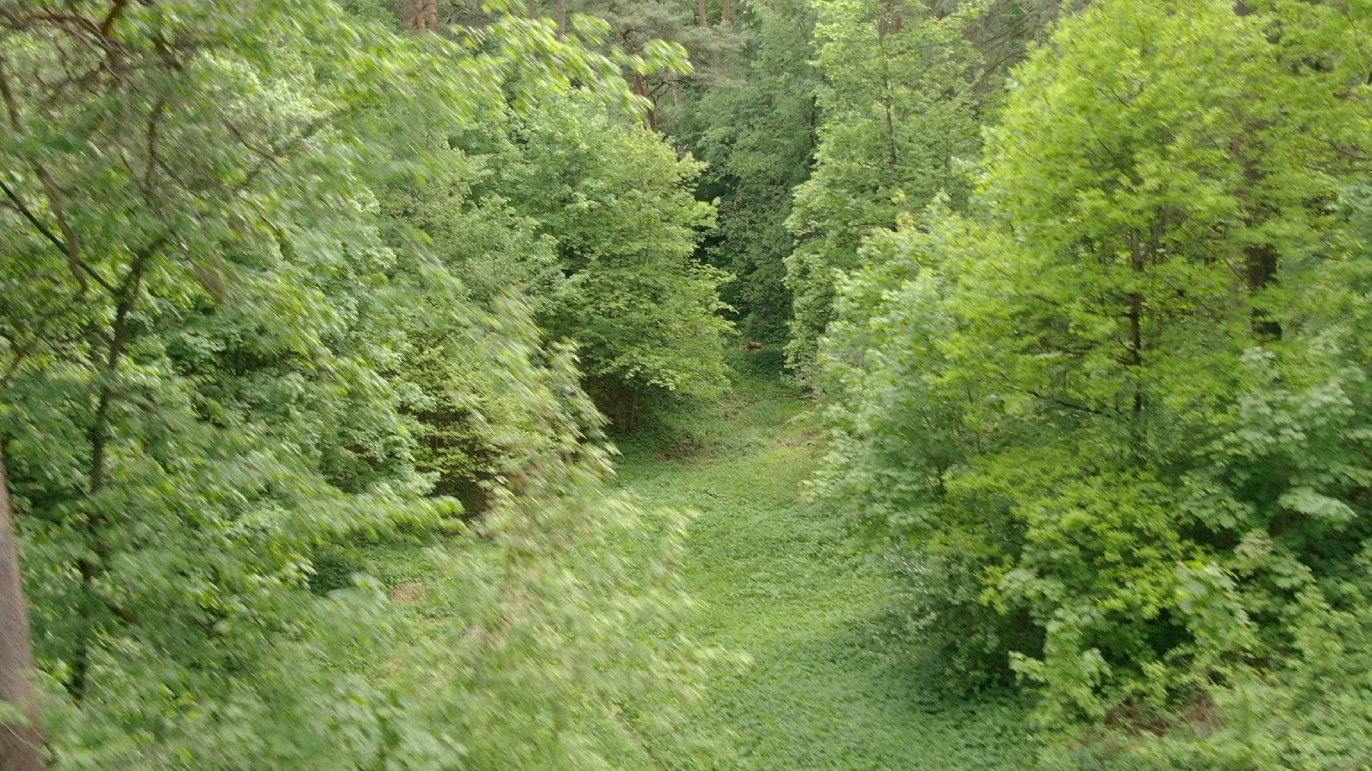 Звенигород, культура, благоустройство,видео с коптера,