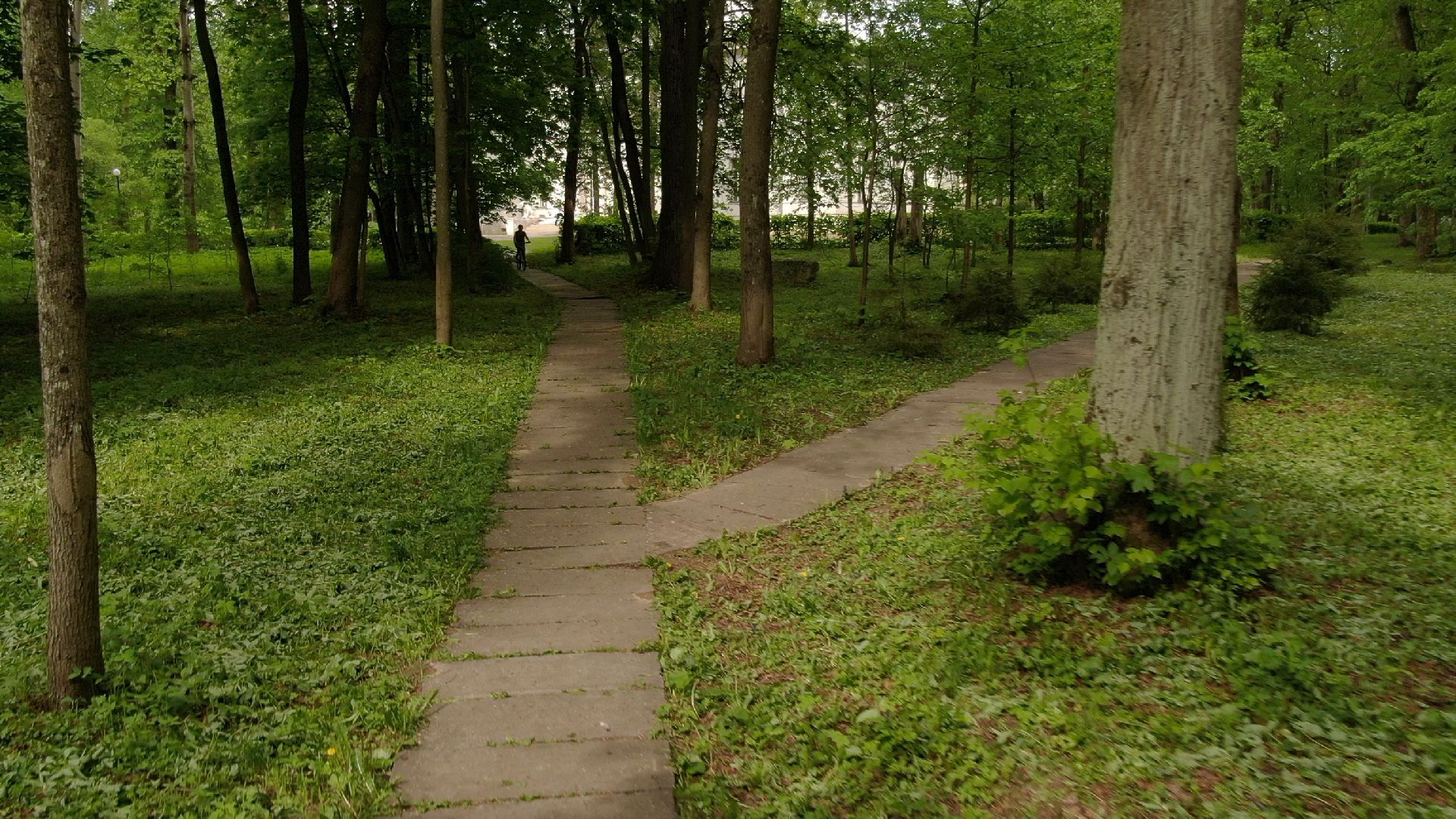 Звенигород, усадьба, культура,видео с коптера,