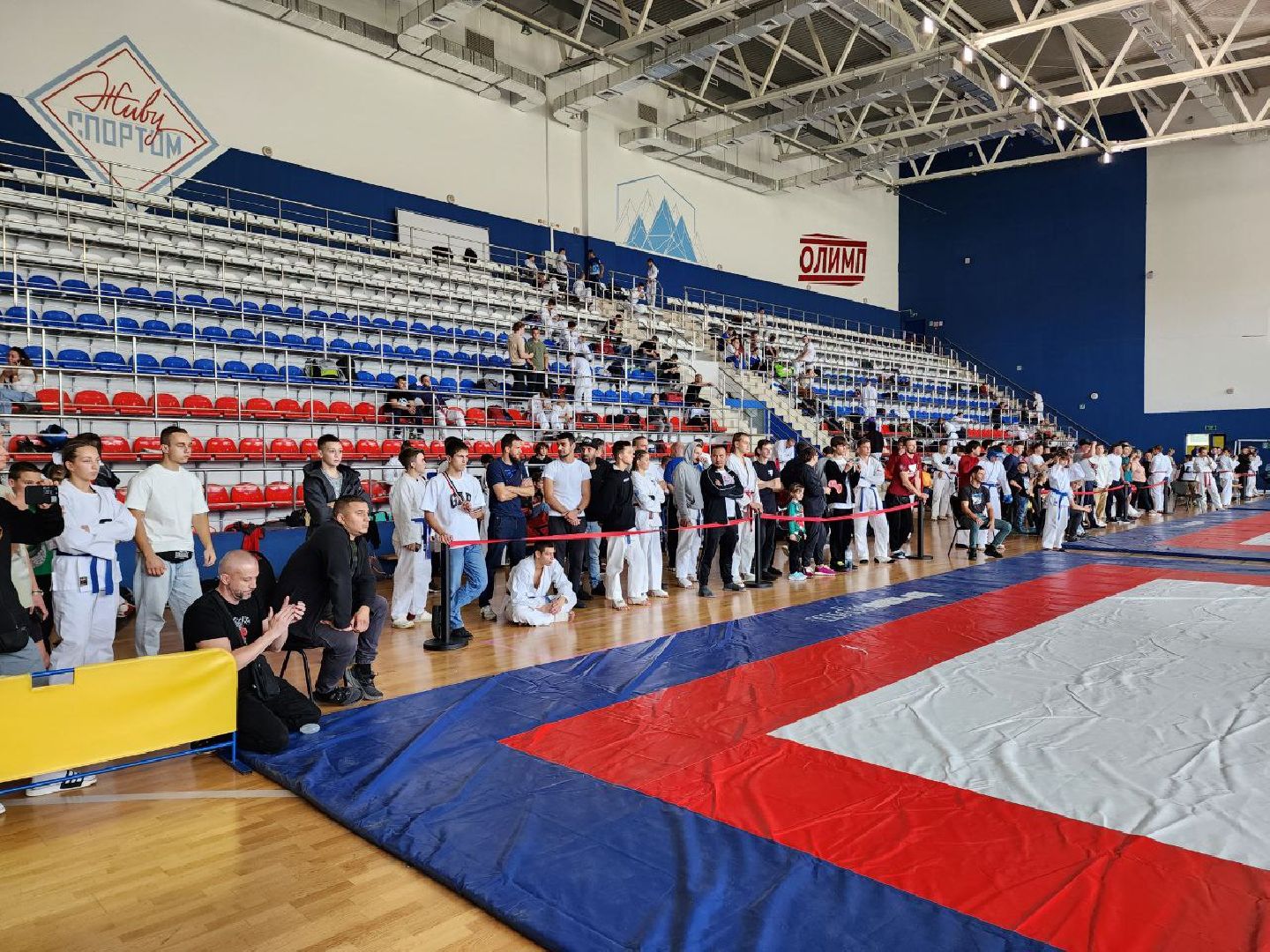 солнечногорск, спорт, победа, рукопашный бой, соревнования,