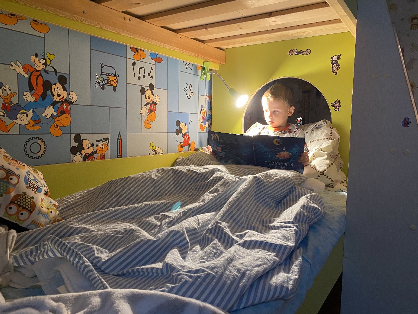 сон, сновидения, Всемирный день сновидений, сомнолог, Подмосковье, Лосино-Петровский,