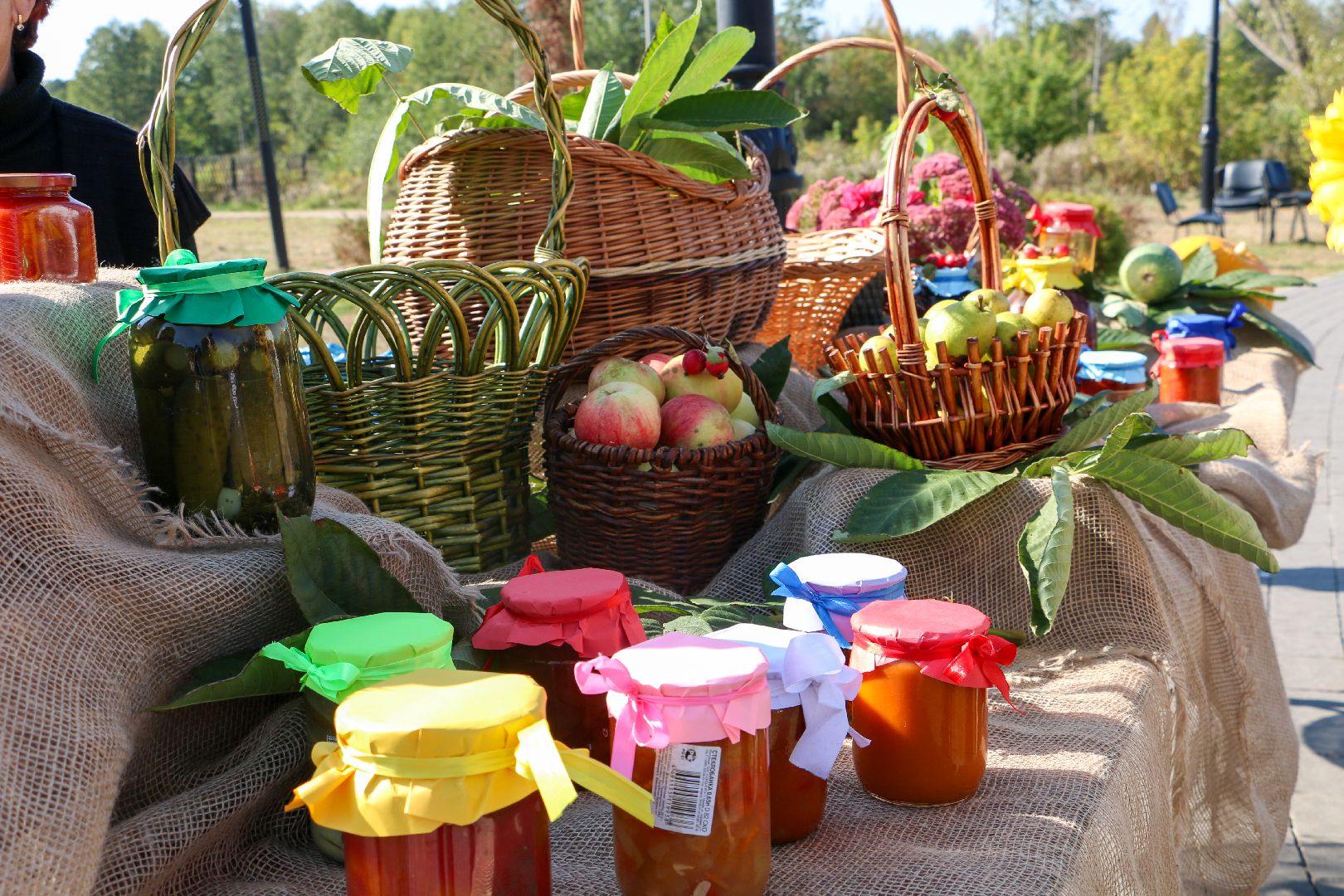 Рошаль, парк, день рождения, Крестов брод,