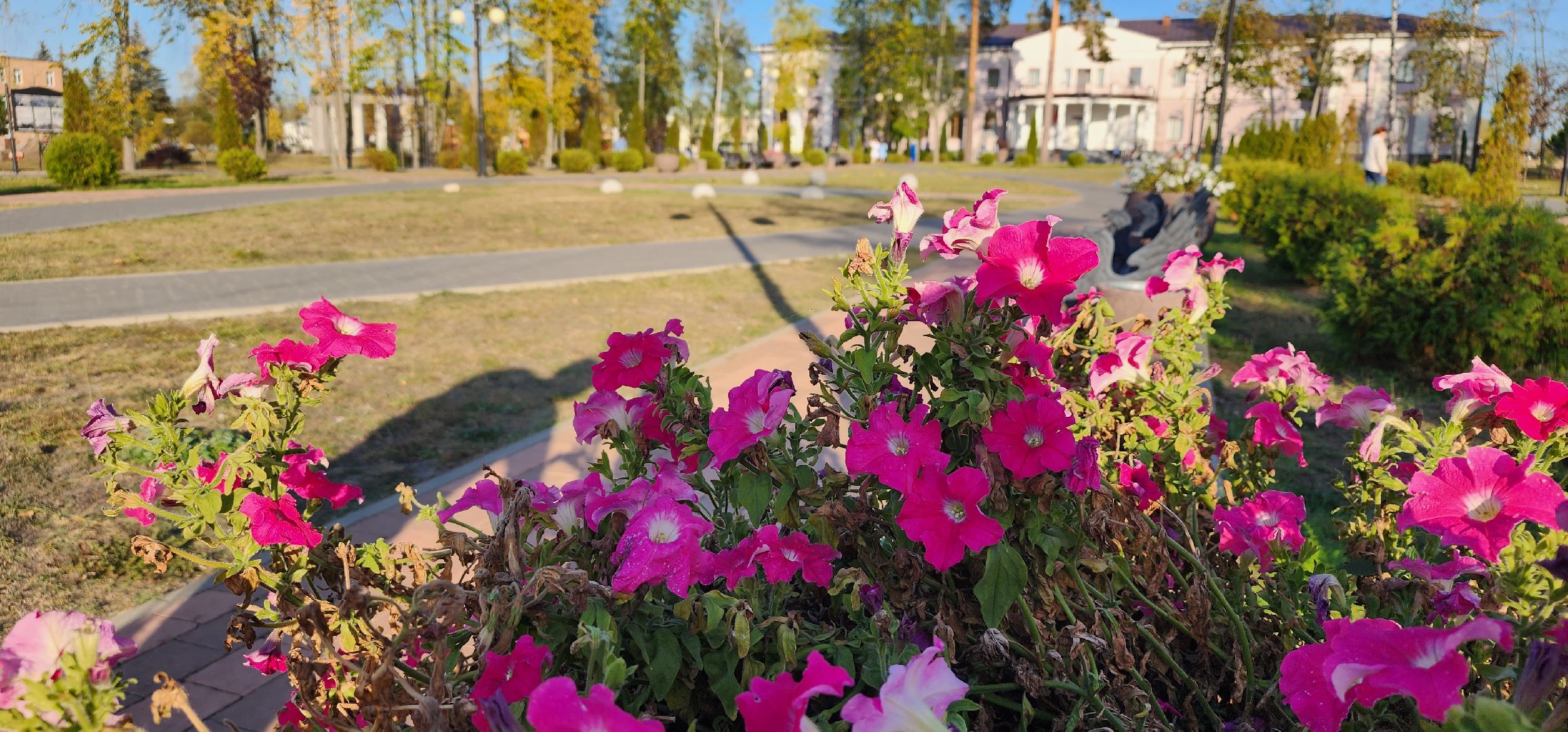 Рошаль, парк, день рождения, Крестов брод,