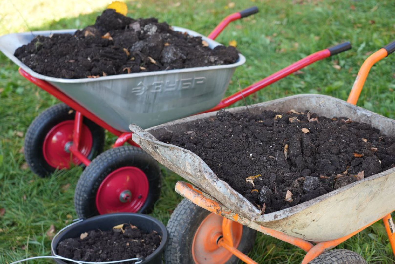 Сергиево-Посадский городской округ, Сергиев Посад, Экология, Акция, Наш лес, Посади свое дерево, Озеленение,