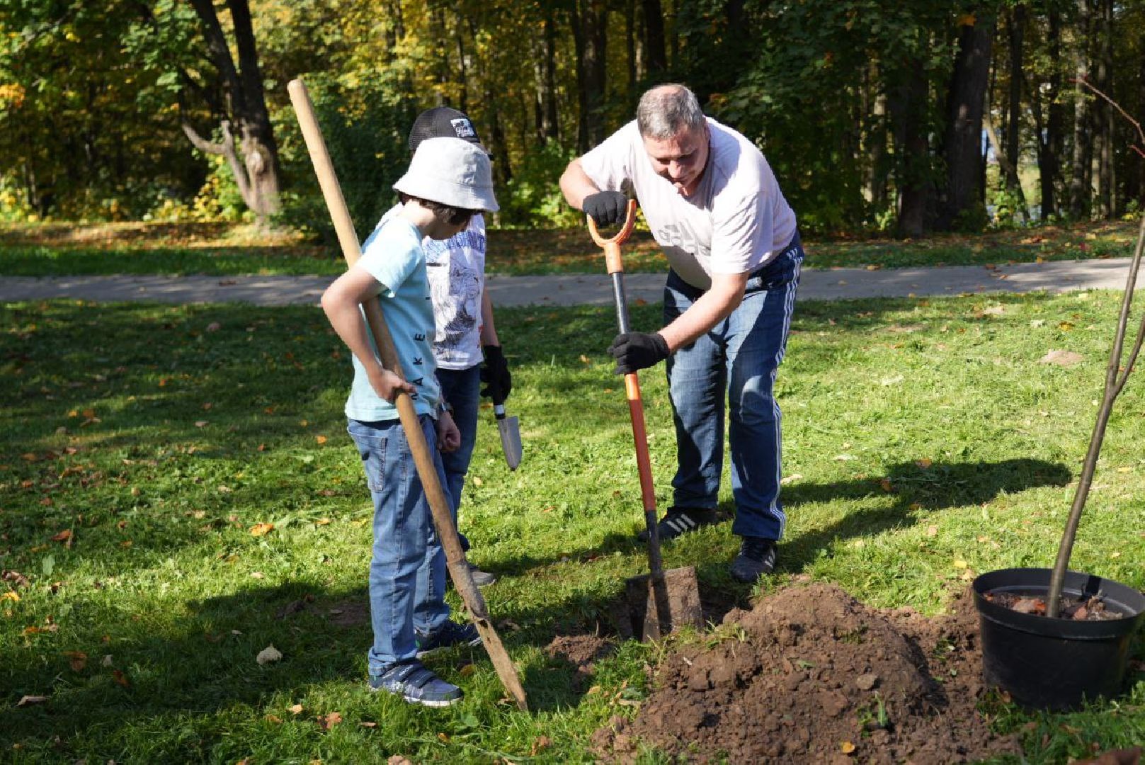 Сергиево-Посадский городской округ, Сергиев Посад, Экология, Акция, Наш лес, Посади свое дерево, Озеленение,