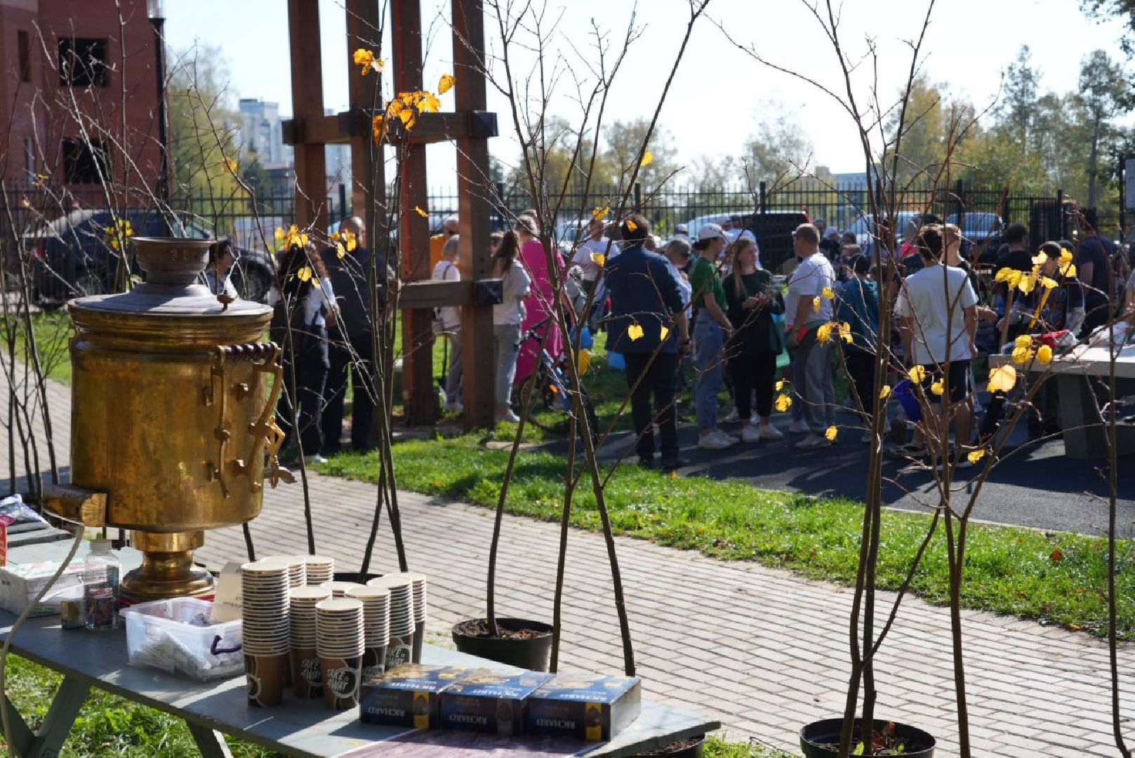 Сергиево-Посадский городской округ, Сергиев Посад, Экология, Акция, Наш лес, Посади свое дерево, Озеленение,