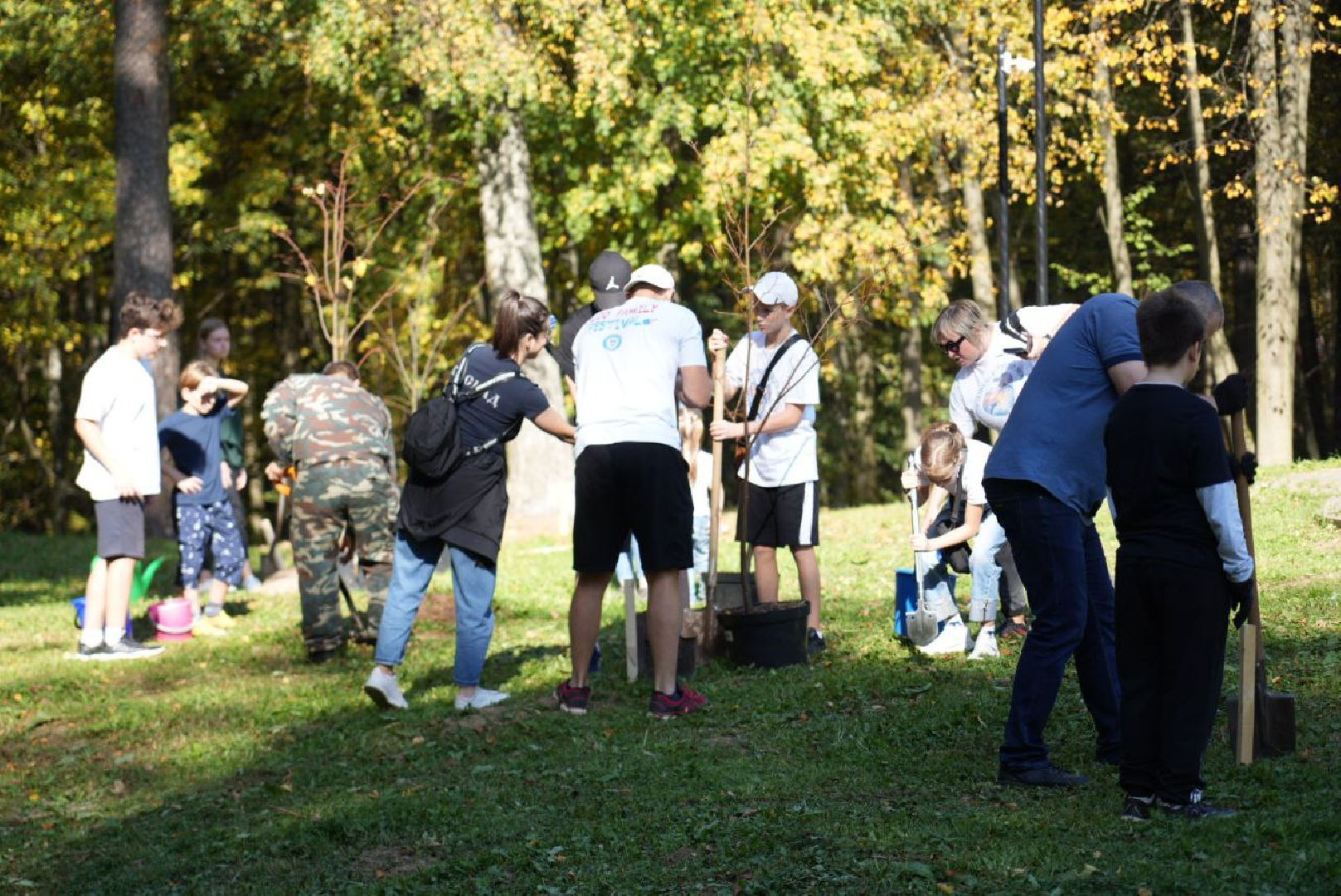 Сергиево-Посадский городской округ, Сергиев Посад, Экология, Акция, Наш лес, Посади свое дерево, Озеленение,