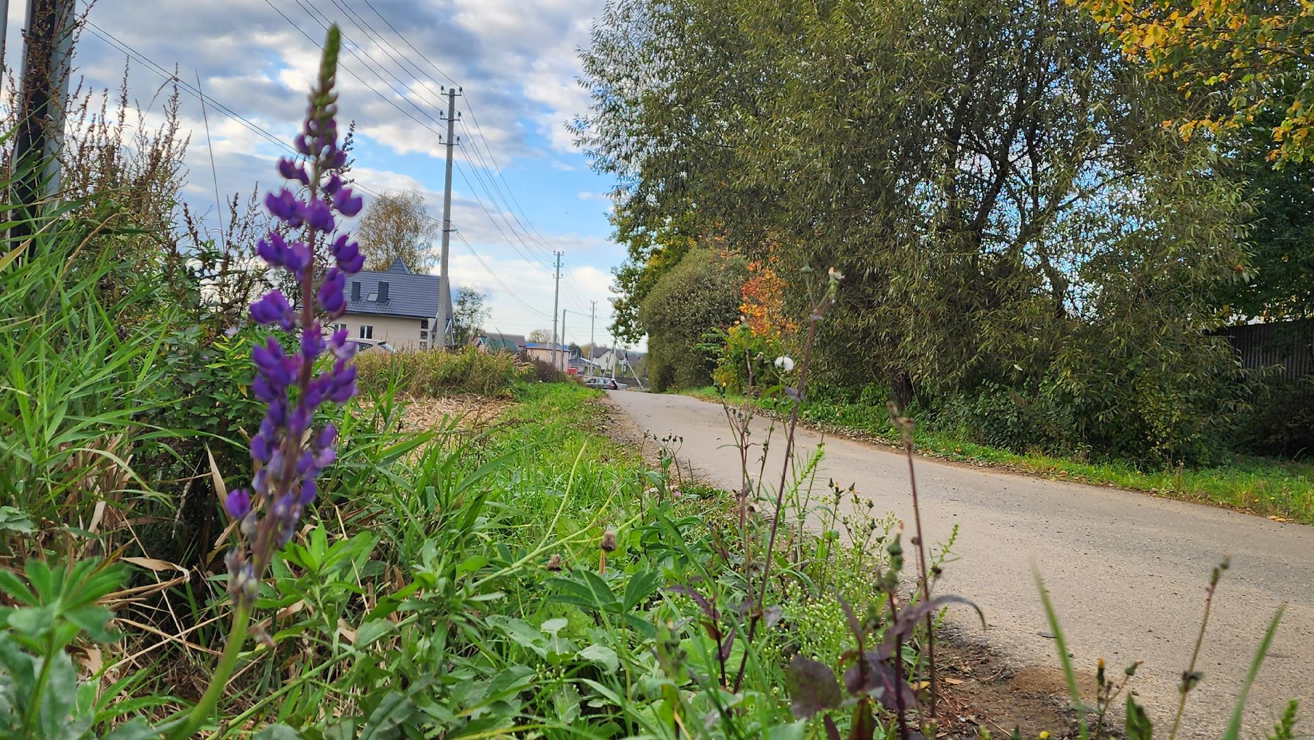 Подмосковье, городской округ пушкинский, ашукино, сельская местность, пушкинская электросеть, благоуйстройство,