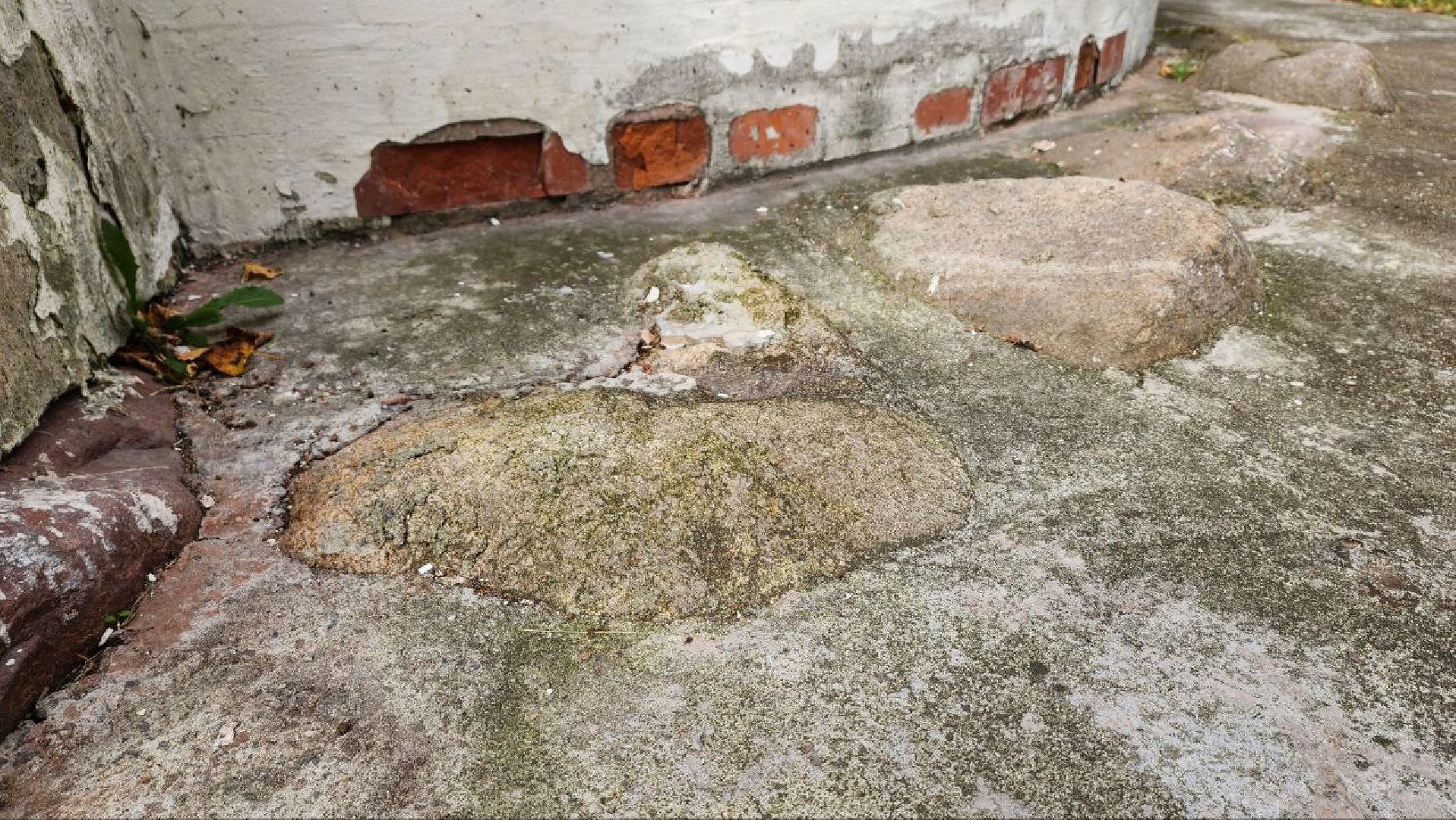 Дмитров, Медведева пустынь, Институт археологии,