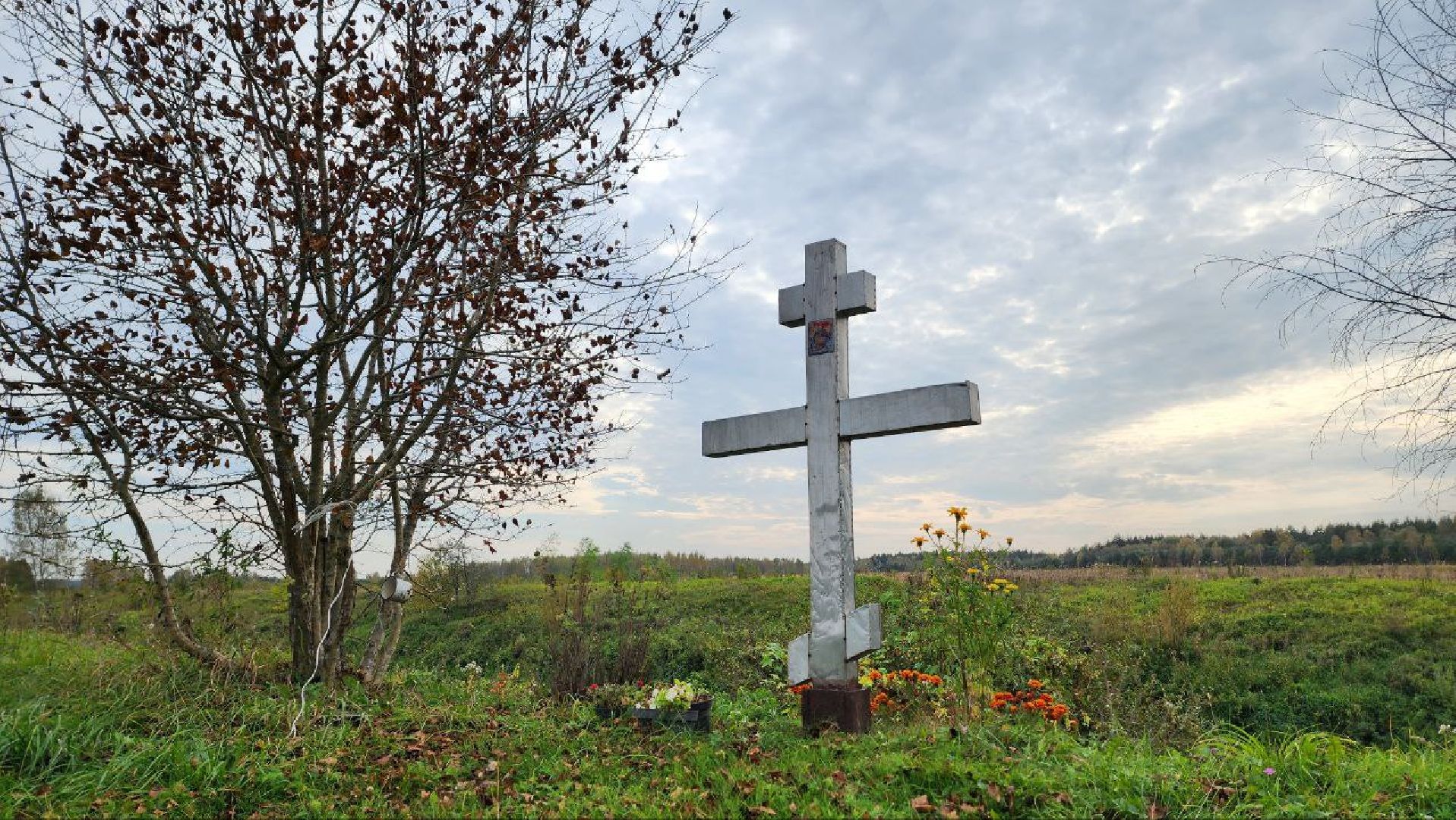 Дмитров, Медведева пустынь, Институт археологии,
