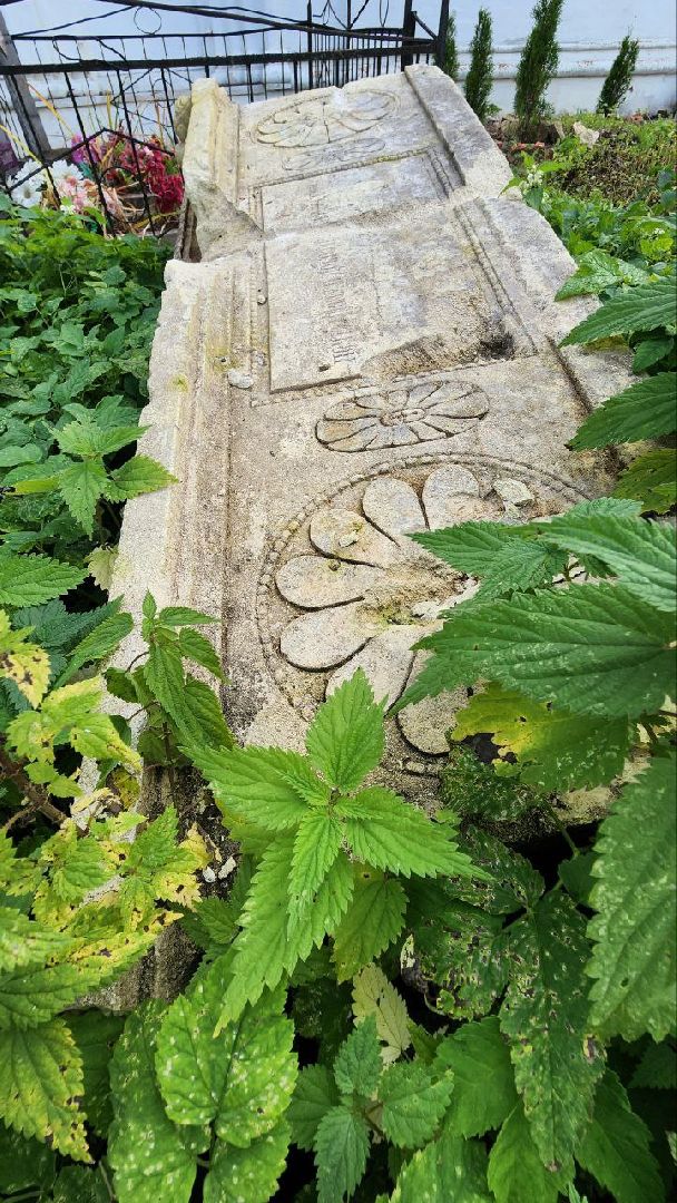 Дмитров, Медведева пустынь, Институт археологии,