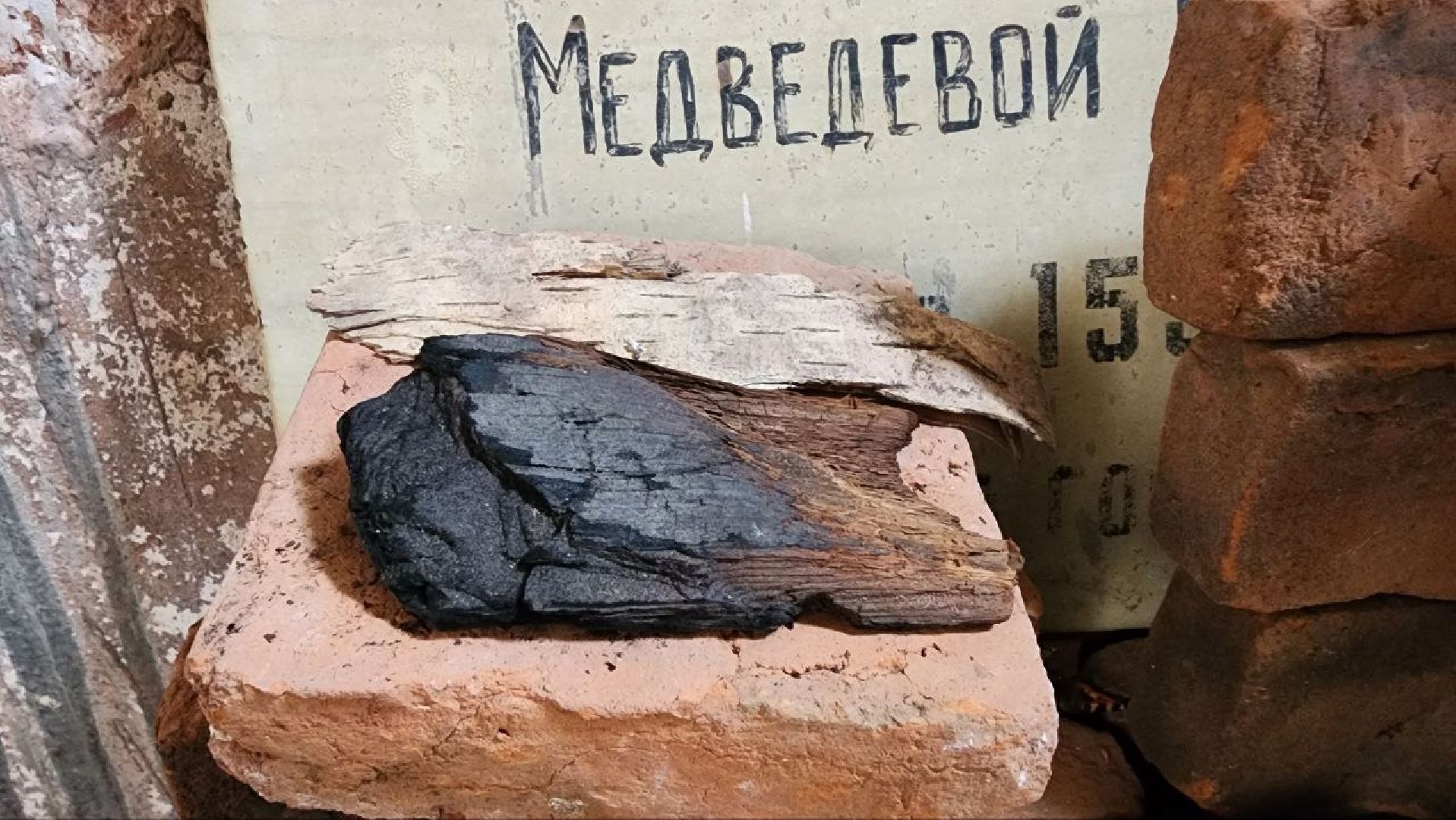 Дмитров, Медведева пустынь, Институт археологии,