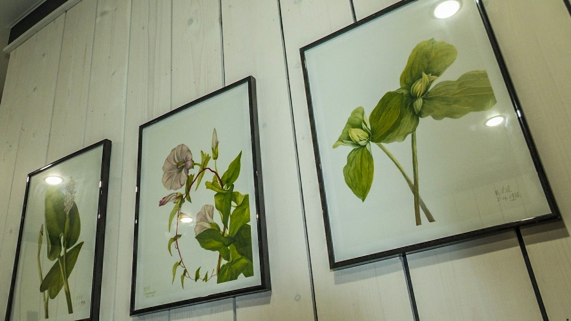 Клин, общество, экономика, туризм,