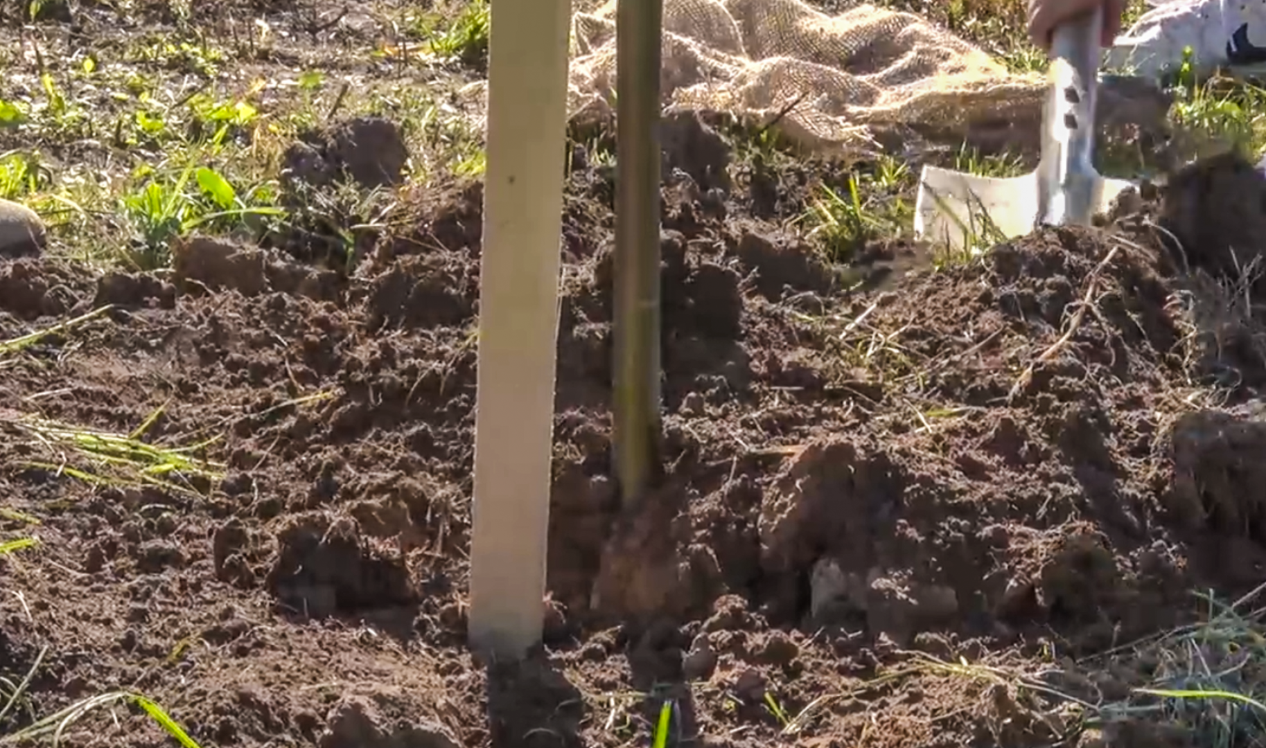 Клин, общество, акции, благоуйстройство, экология,