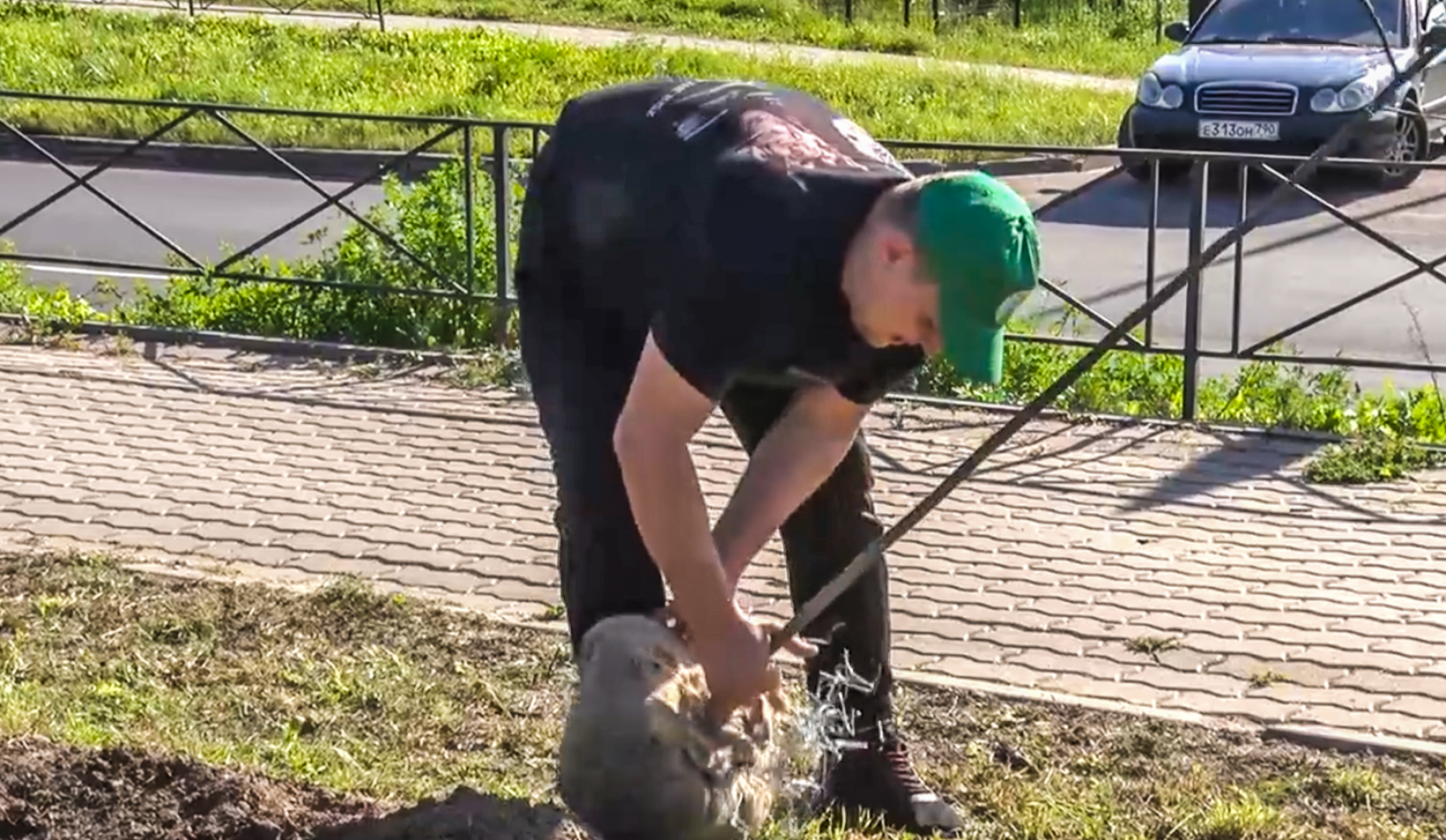 Клин, общество, акции, благоуйстройство, экология,