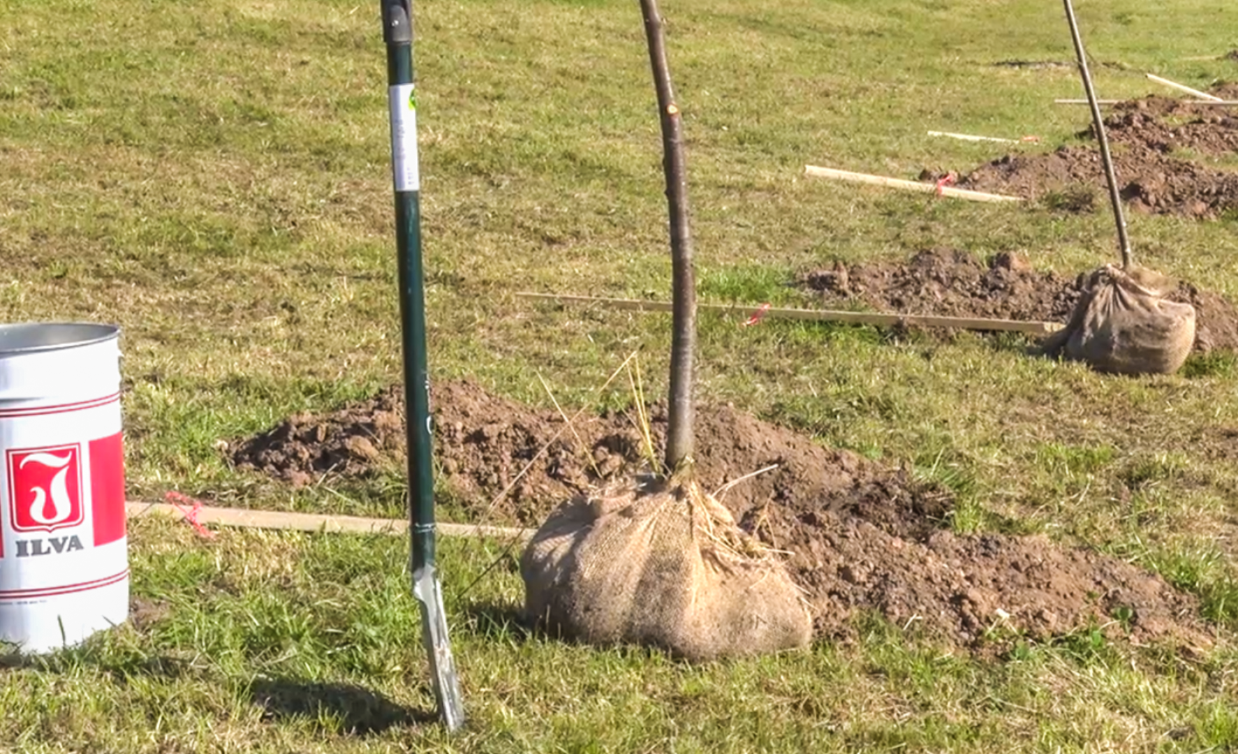 Клин, общество, акции, благоуйстройство, экология,