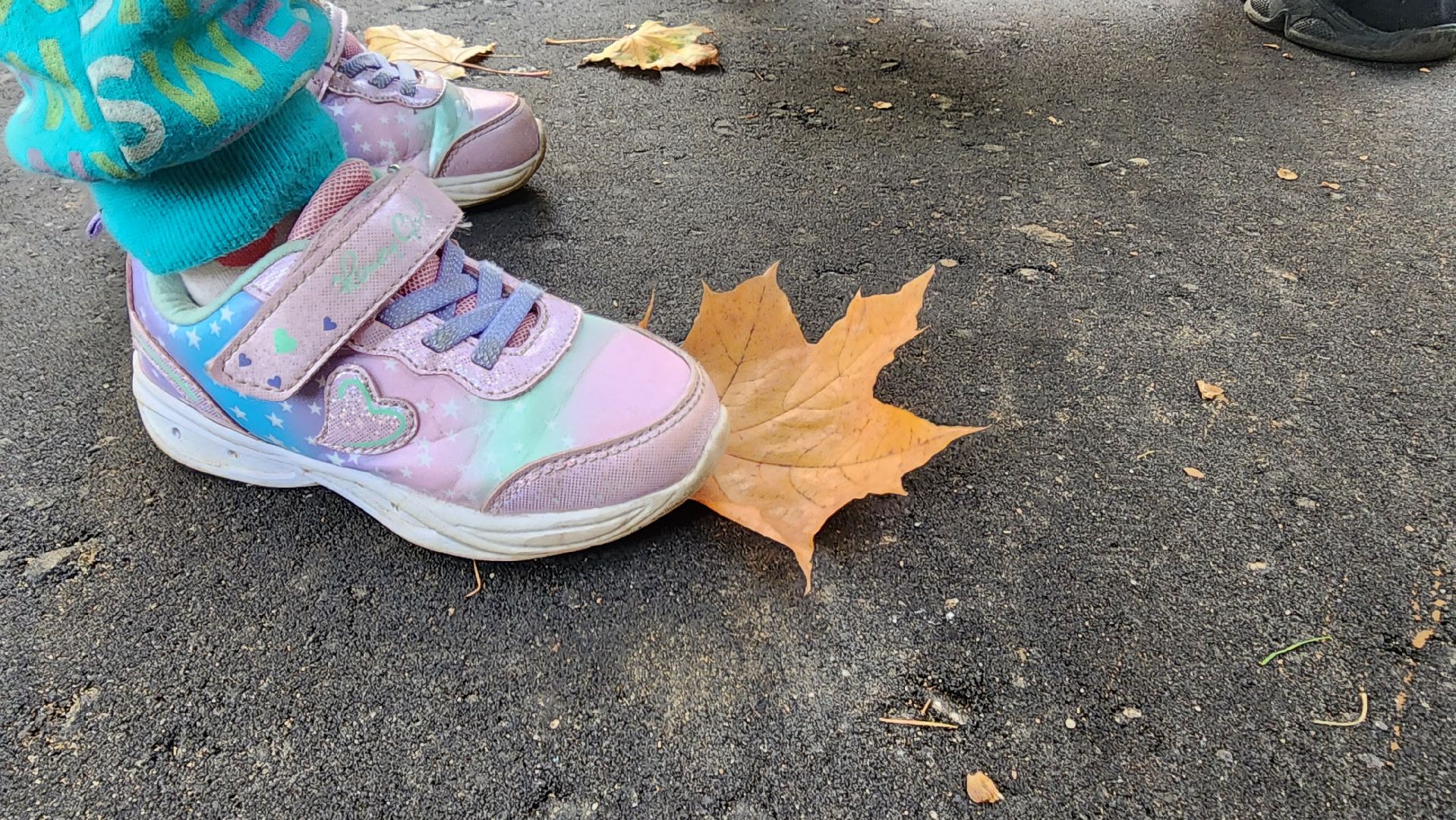 подмосковье, городской округ пушкинский, Ивантеевка, благоустройство, детский сад,