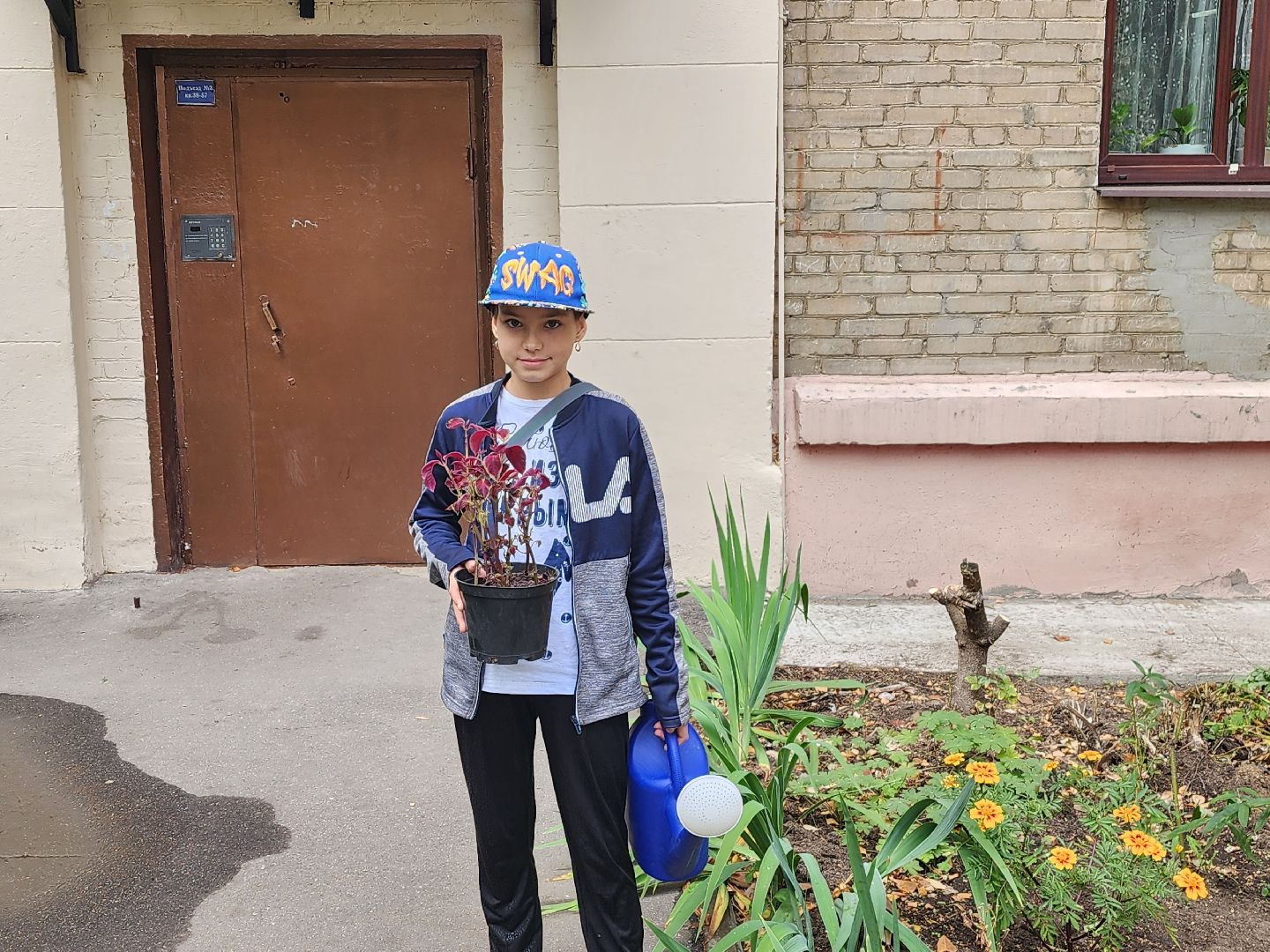 Полина Голосная, клумба, палисадник, растения,