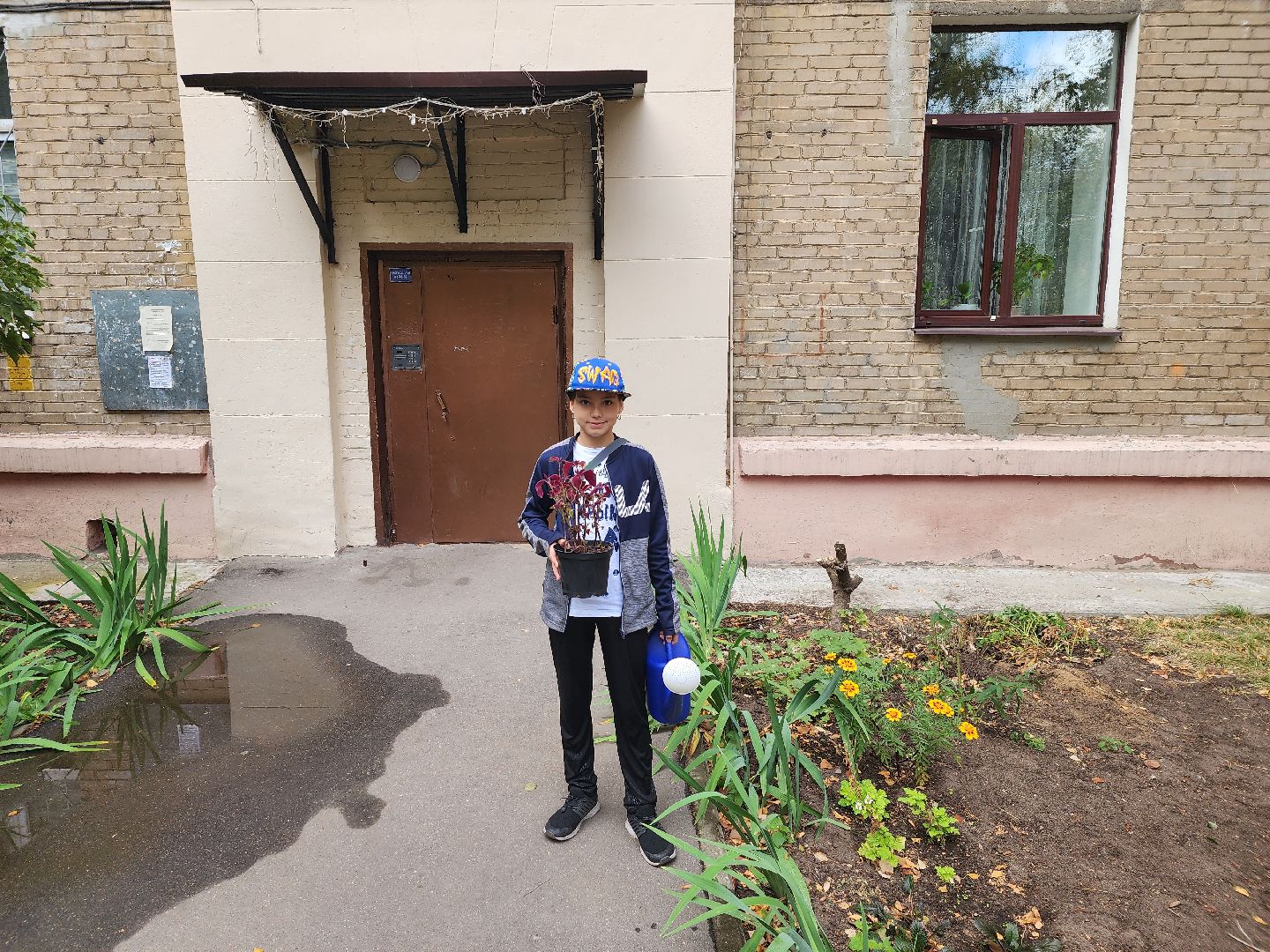 Полина Голосная, клумба, палисадник, растения,