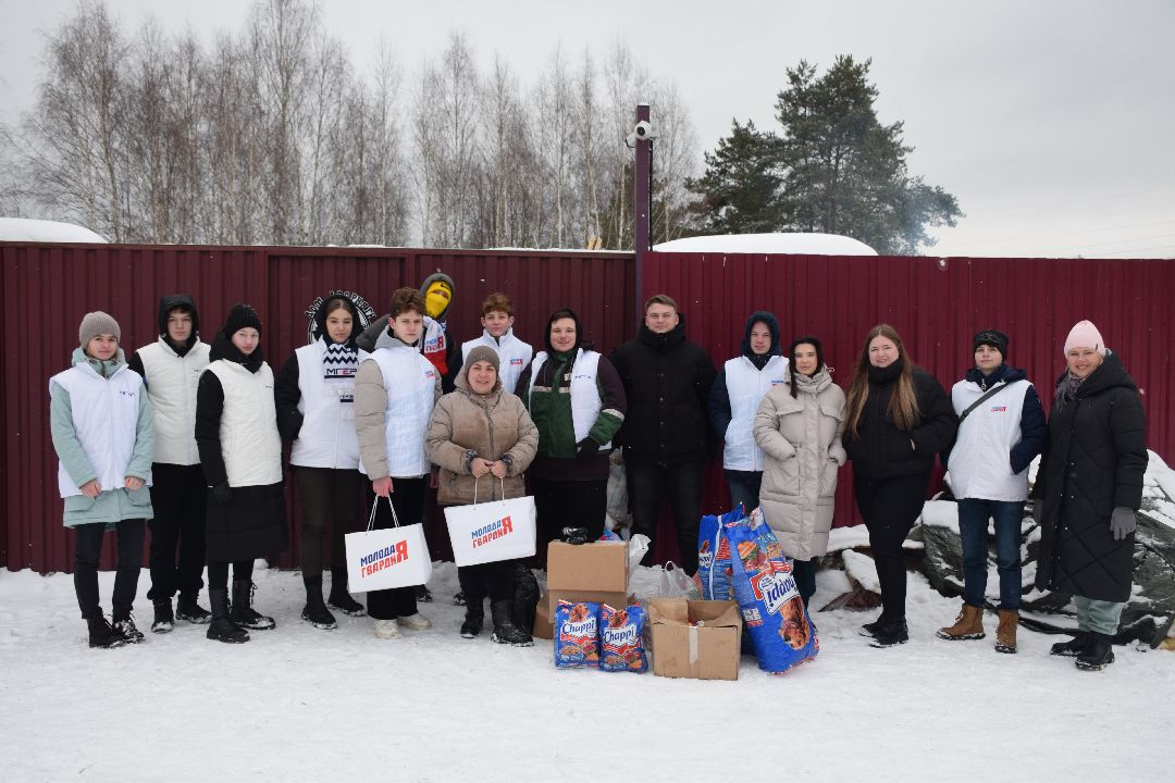 Павловский Посад, волонтёры, приют, Аверкиево, городской округ Павловский Посад, Молодая Гвардия, Единая Россия, помощь