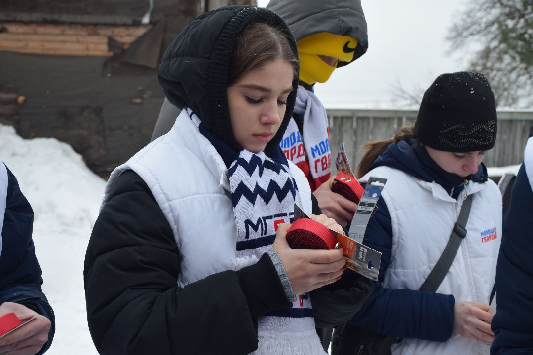 Павловский Посад, волонтёры, приют, Аверкиево, городской округ Павловский Посад, Молодая Гвардия, Единая Россия, помощь