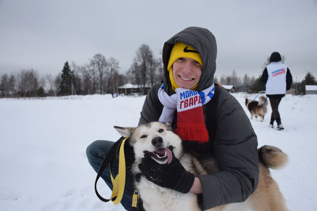 Павловский Посад, волонтёры, приют, Аверкиево, городской округ Павловский Посад, Молодая Гвардия, Единая Россия, помощь