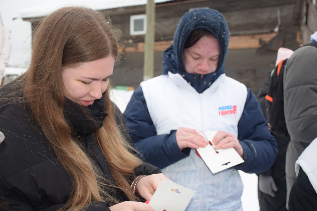Павловский Посад, волонтёры, приют, Аверкиево, городской округ Павловский Посад, Молодая Гвардия, Единая Россия, помощь