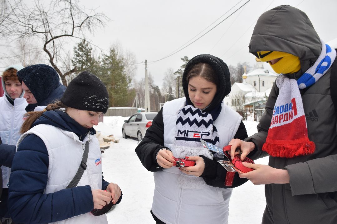 Павловский Посад, волонтёры, приют, Аверкиево, городской округ Павловский Посад, Молодая Гвардия, Единая Россия, помощь
