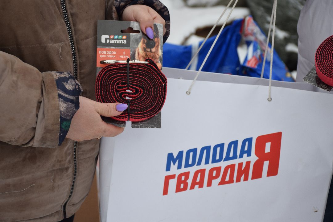 Павловский Посад, волонтёры, приют, Аверкиево, городской округ Павловский Посад, Молодая Гвардия, Единая Россия, помощь