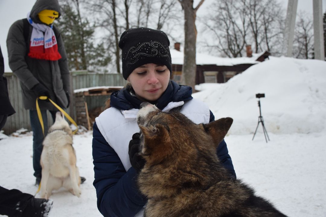 Павловский Посад, волонтёры, приют, Аверкиево, городской округ Павловский Посад, Молодая Гвардия, Единая Россия, помощь