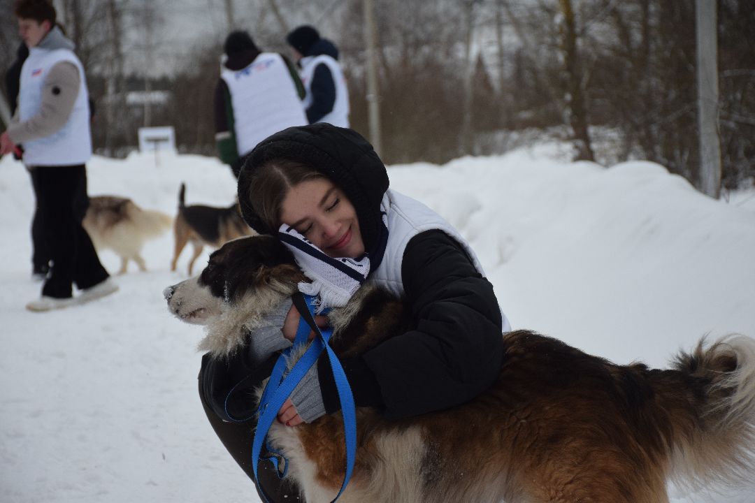Павловский Посад, волонтёры, приют, Аверкиево, городской округ Павловский Посад, Молодая Гвардия, Единая Россия, помощь