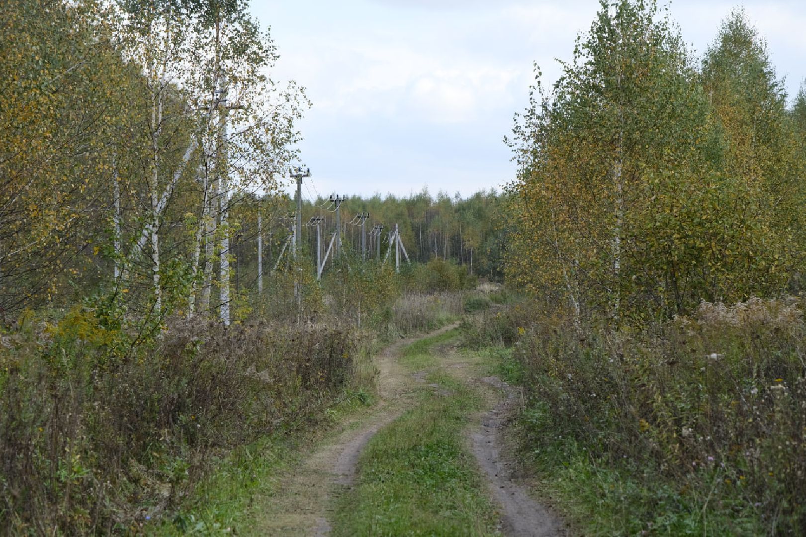 Пущино, экномика, индустриальный парк,