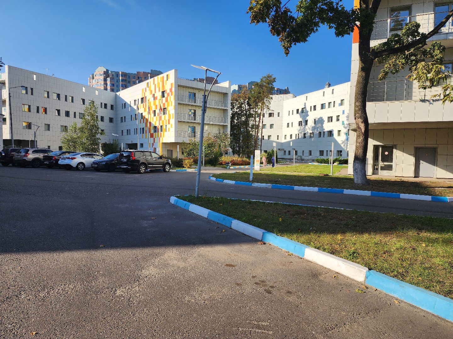 раменское, медицина, центр материнства и детства, врачи провели операцию пациентке во время родов,