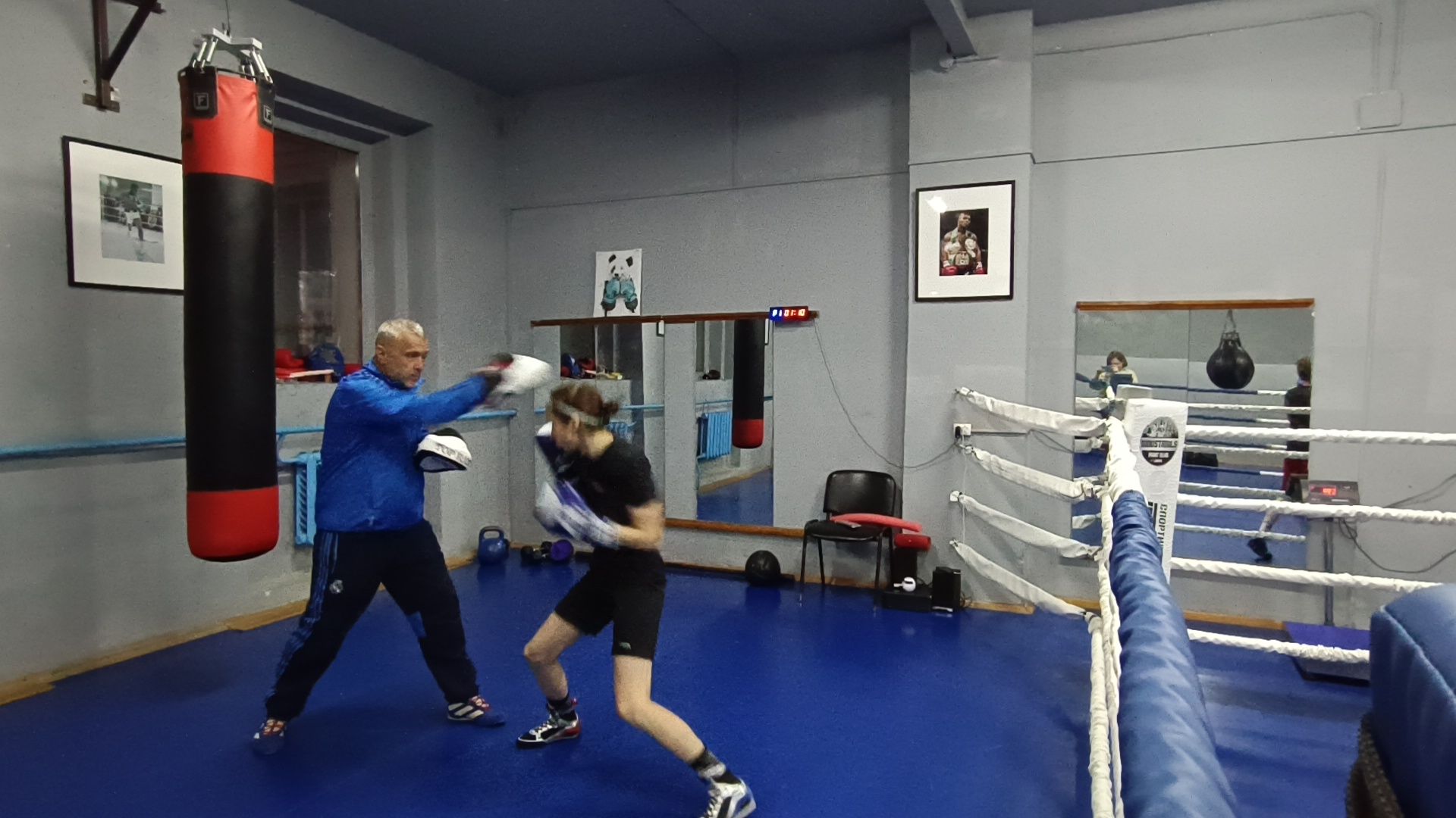 лобня, спорт, бокс,