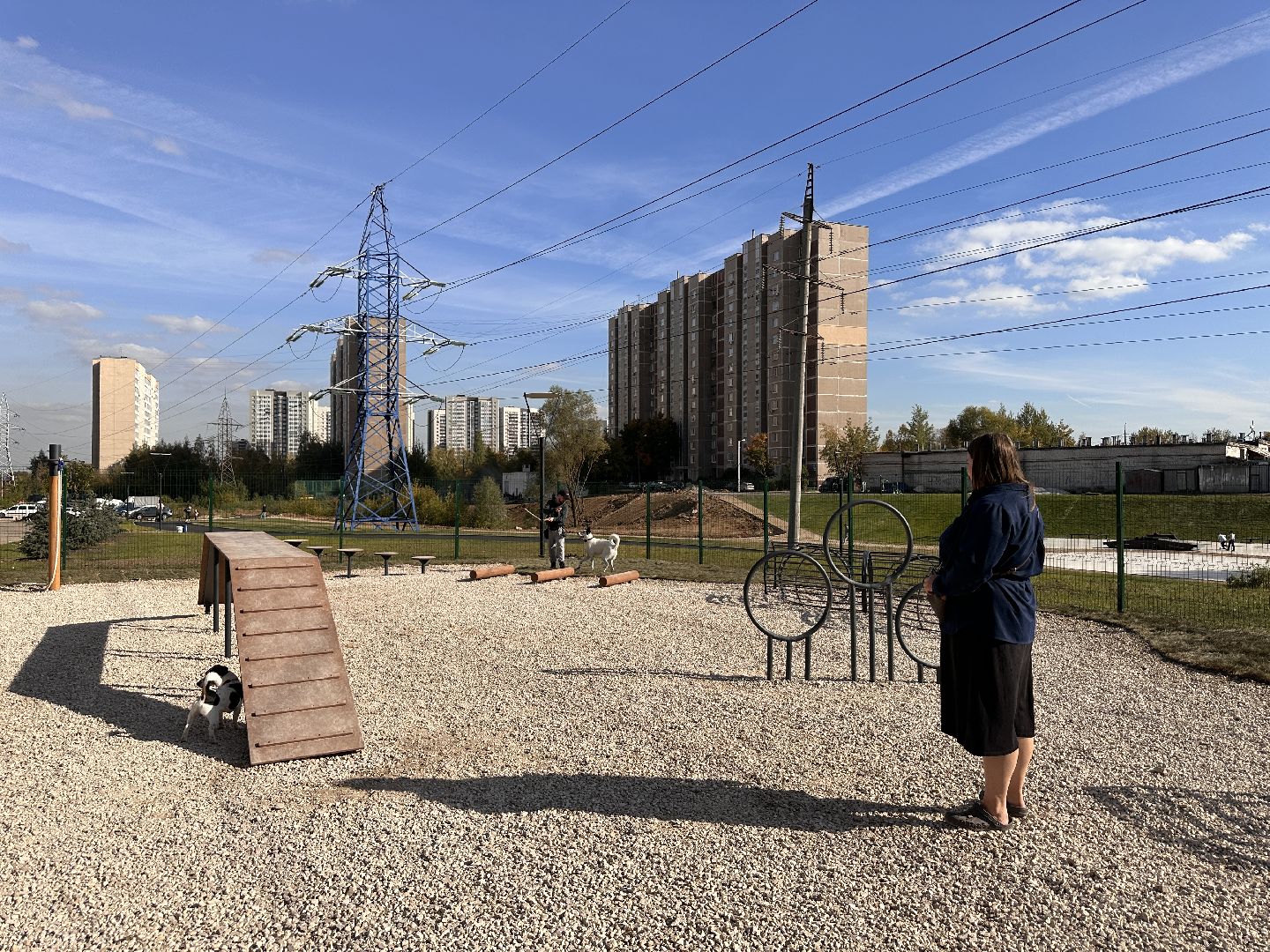 Одинцово, Благоустройство, Парки Подмосковья, Собаки,