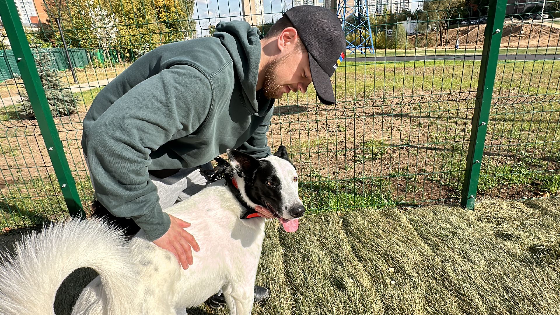 Одинцово, Благоустройство, Парки Подмосковья, Собаки,