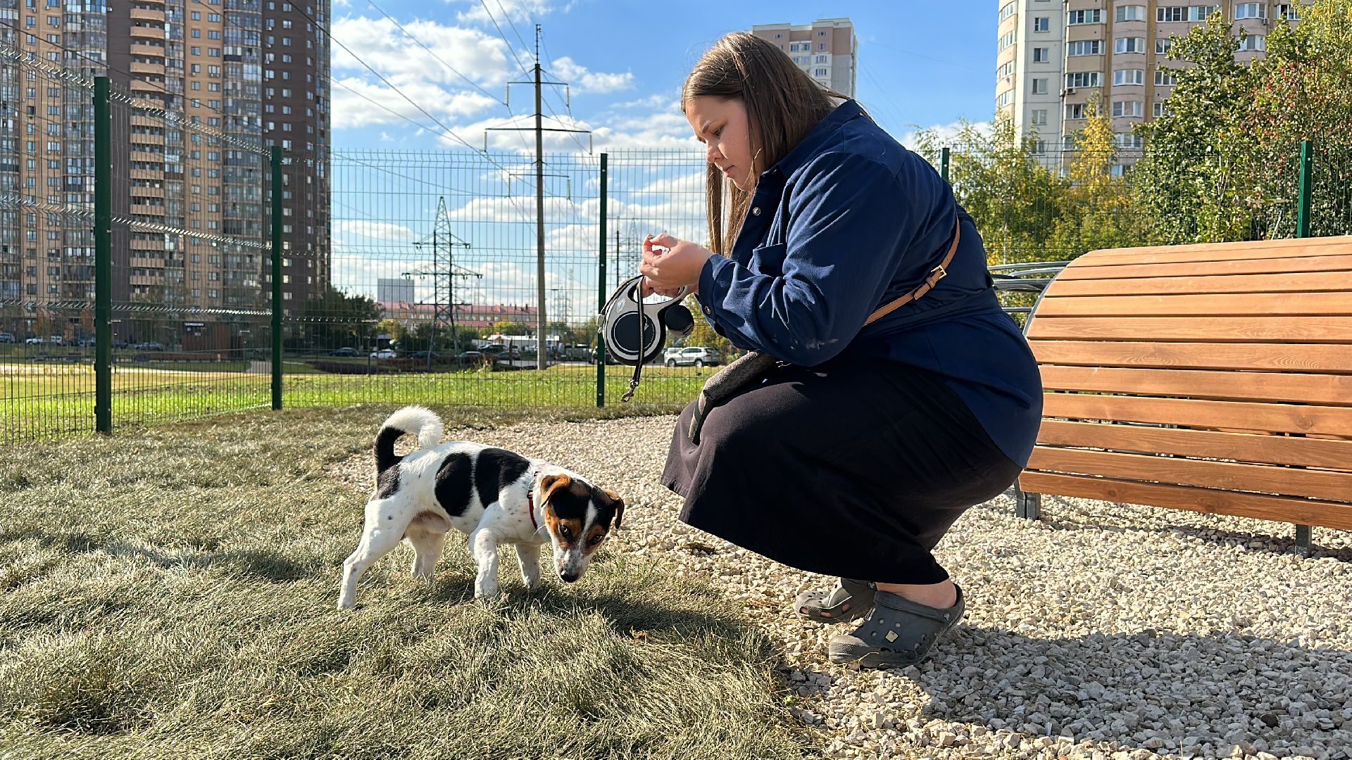 Одинцово, Благоустройство, Парки Подмосковья, Собаки,