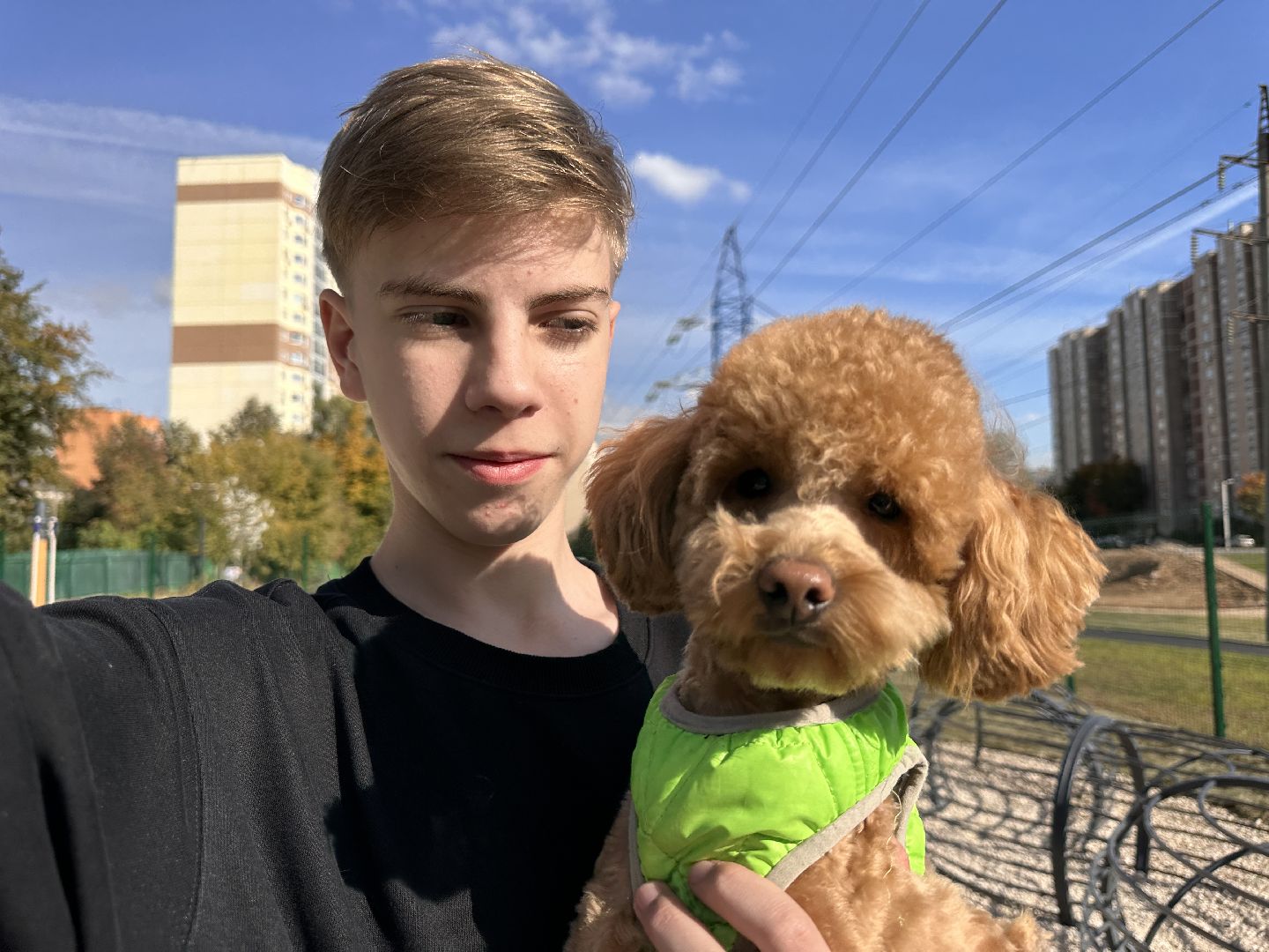 Одинцово, Благоустройство, Парки Подмосковья, Собаки,